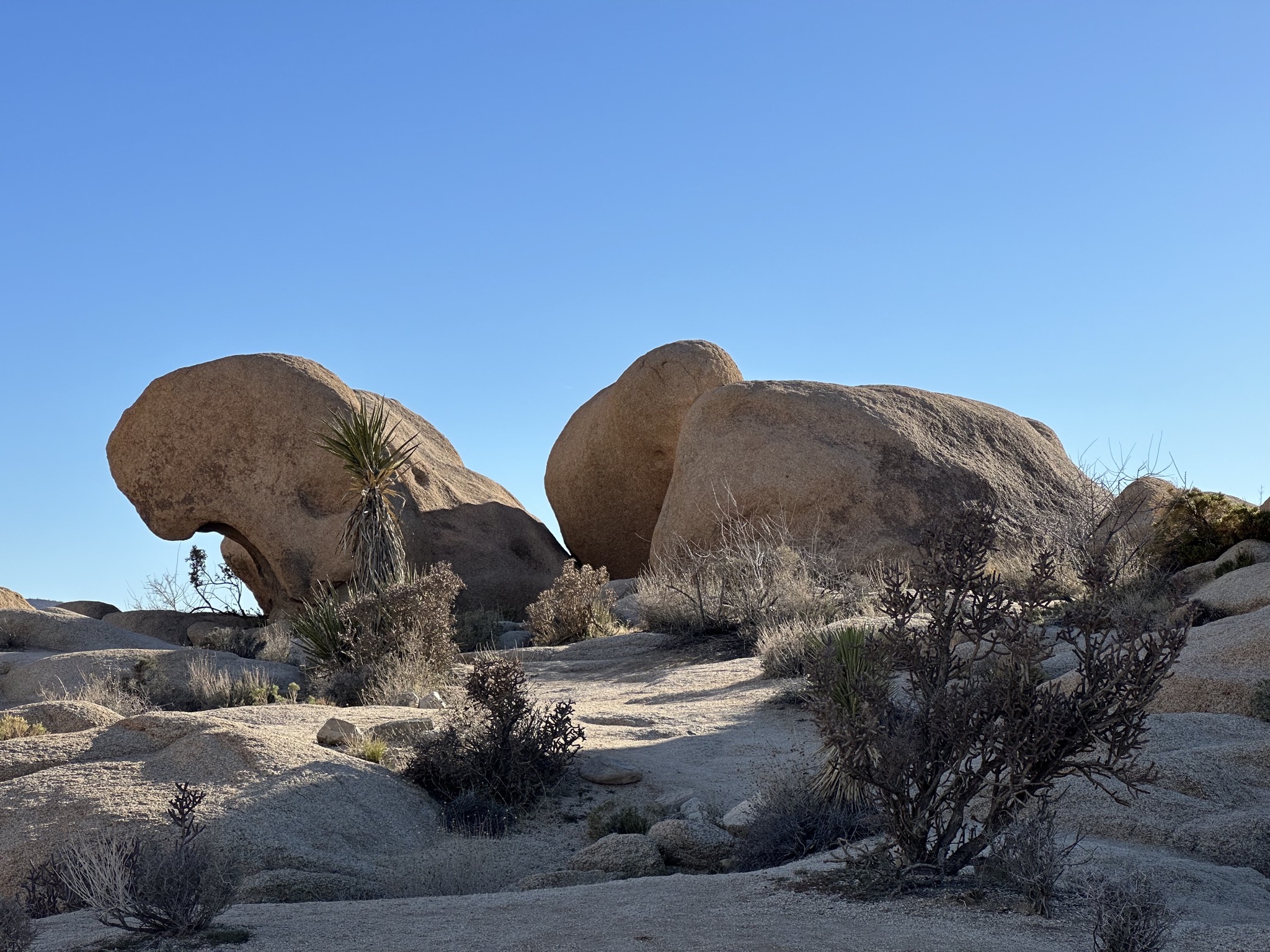 Arch Rock Nature Trail