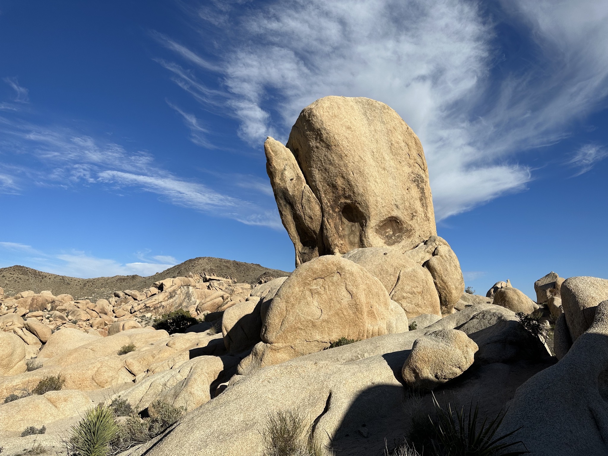 Arch Rock Nature Trail