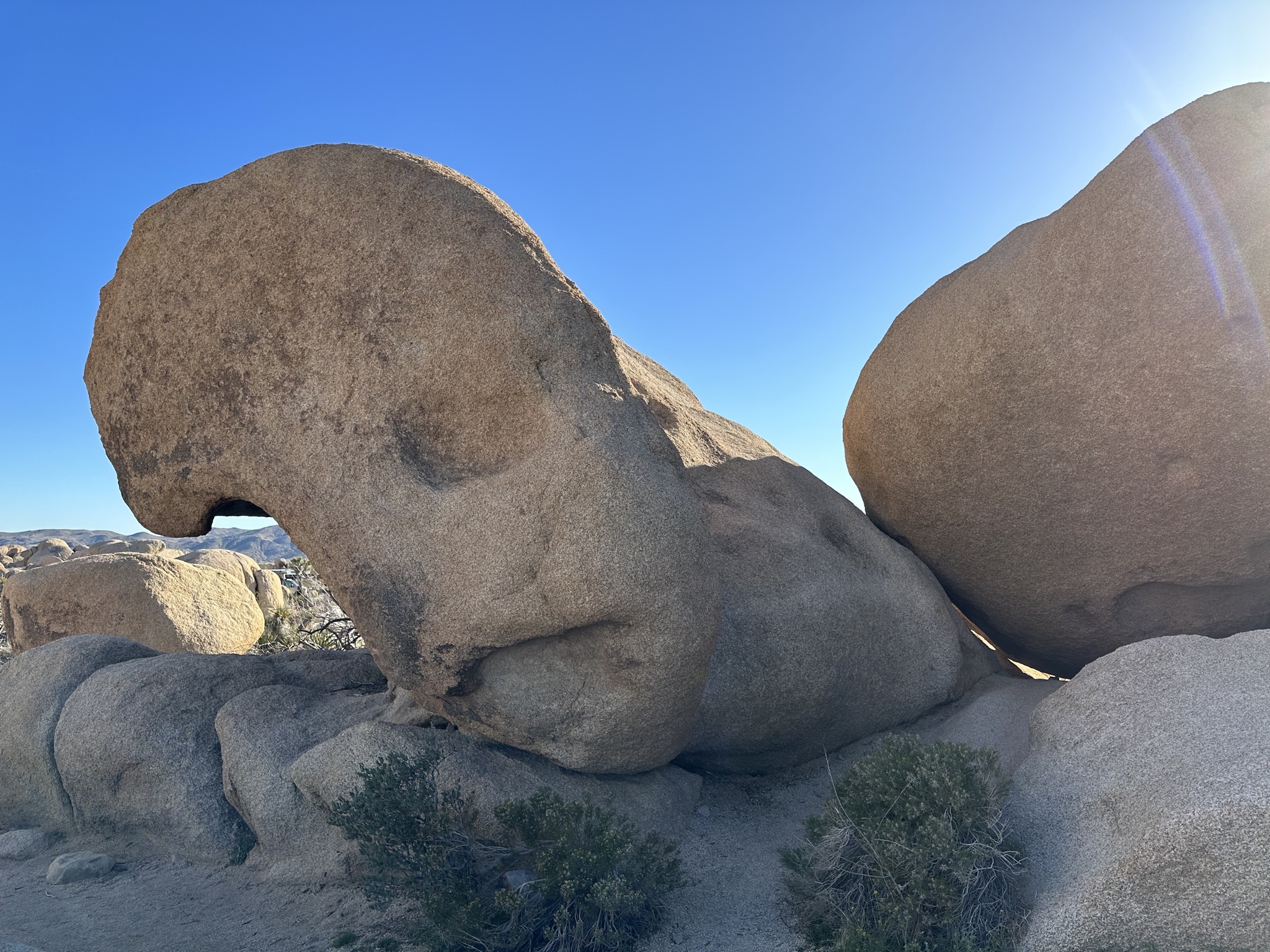 Arch Rock Nature Trail