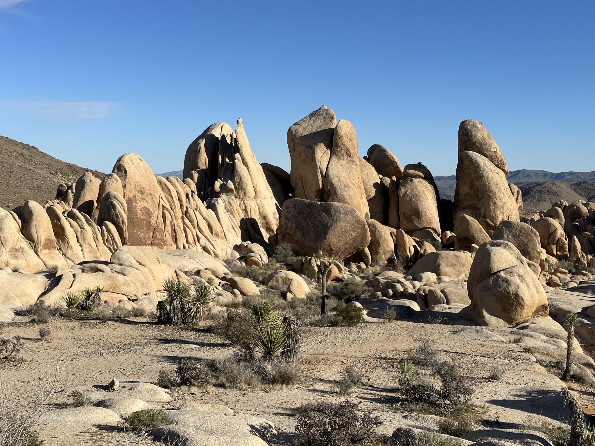 Arch Rock Nature Trail