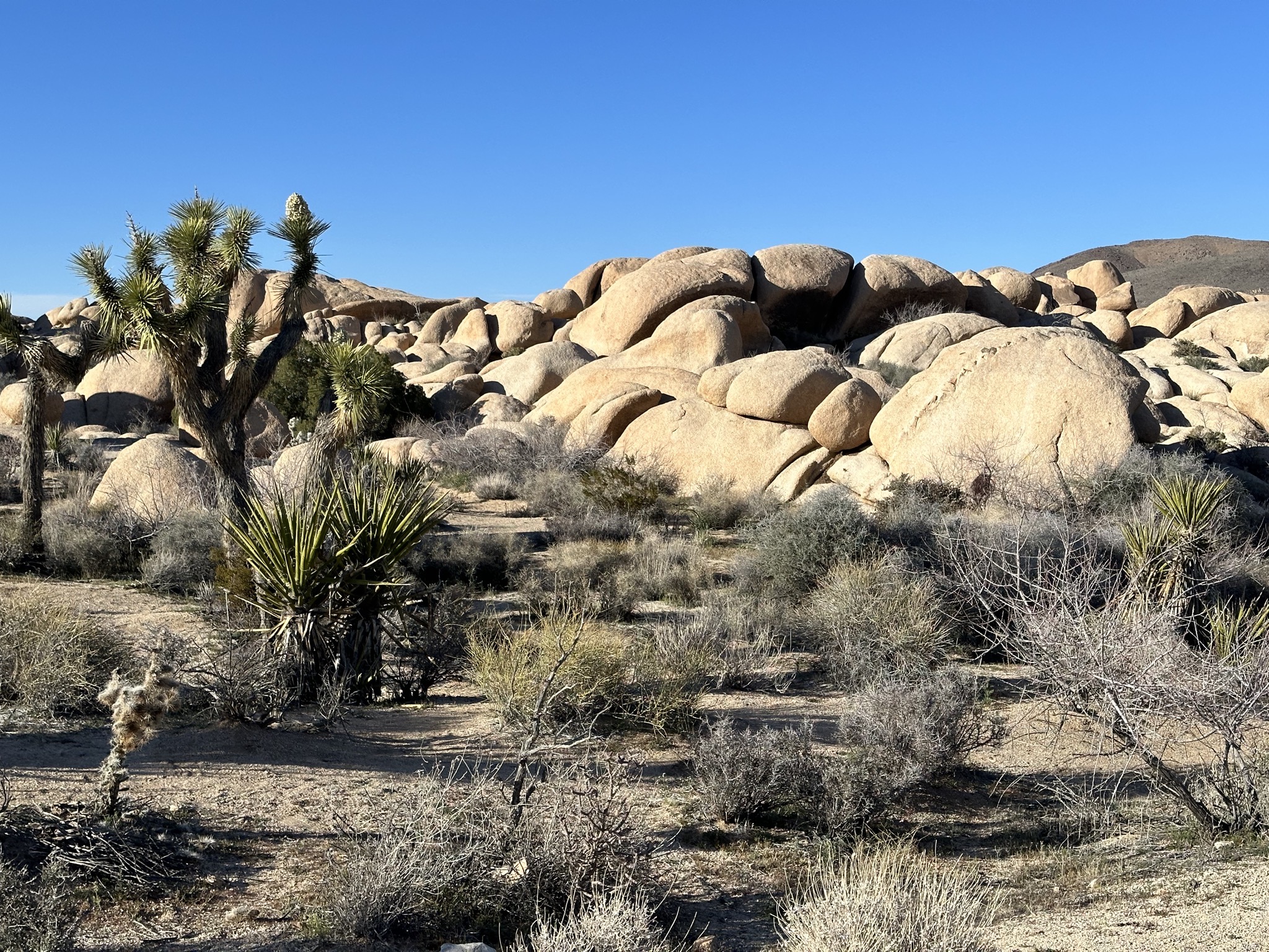 Arch Rock Nature Trail
