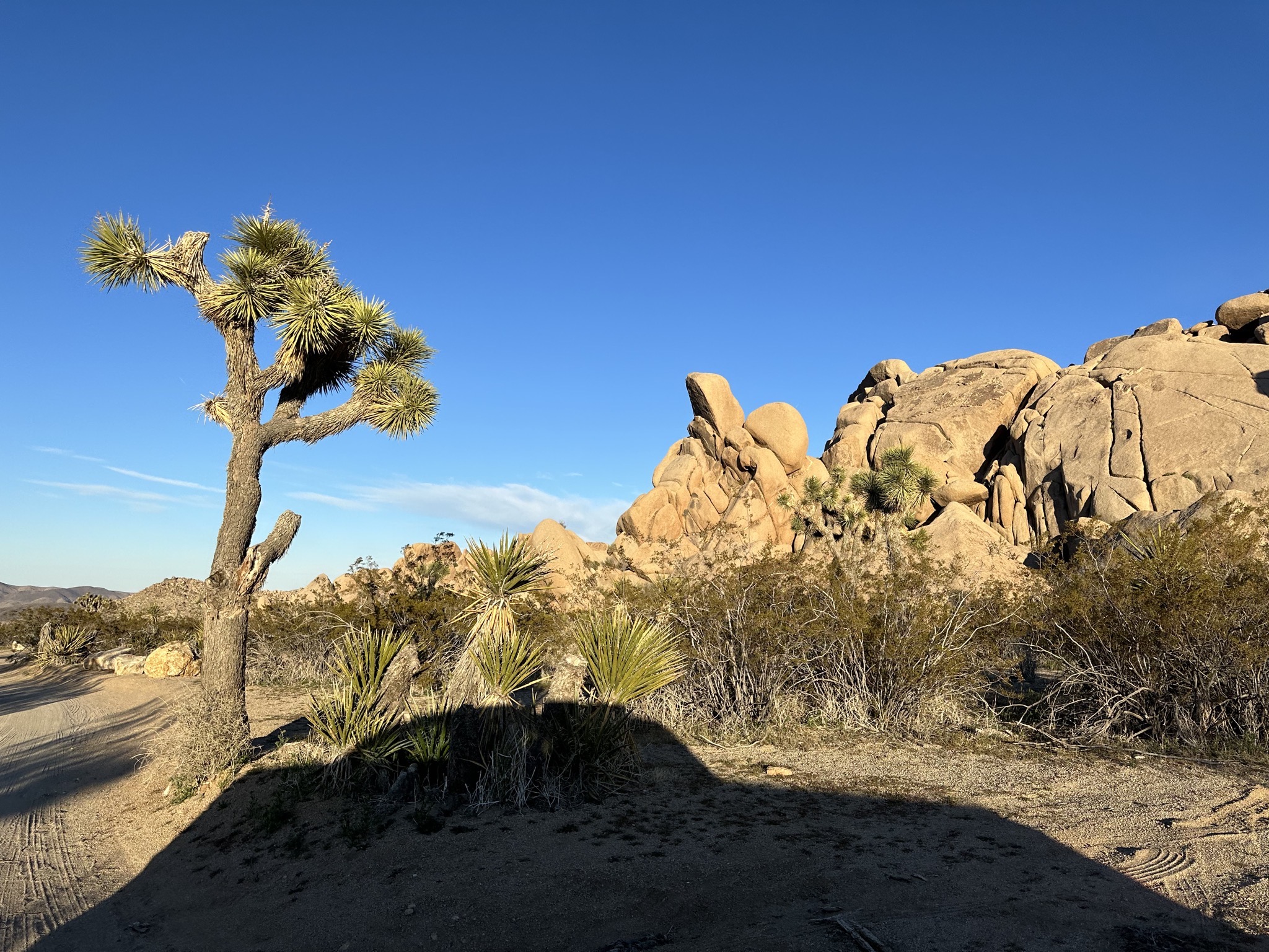 Rocks