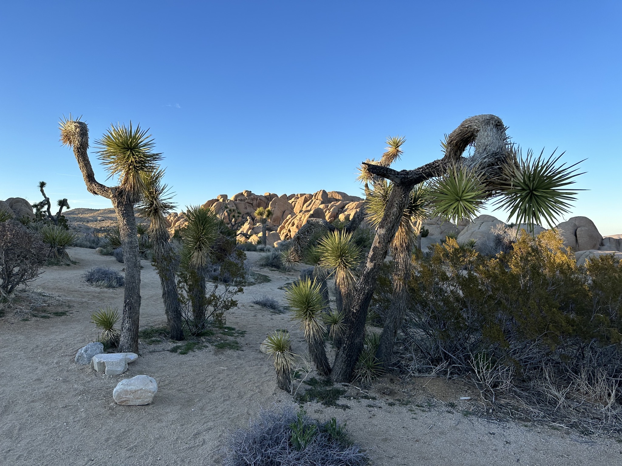 Skull Rock