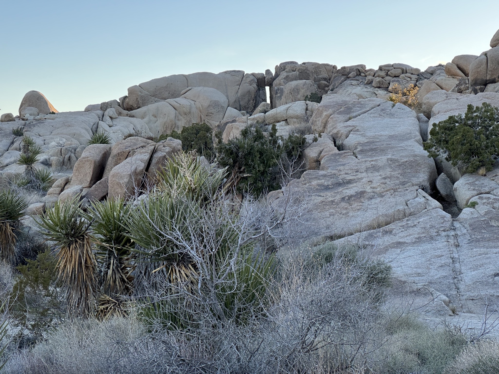 Rocks
