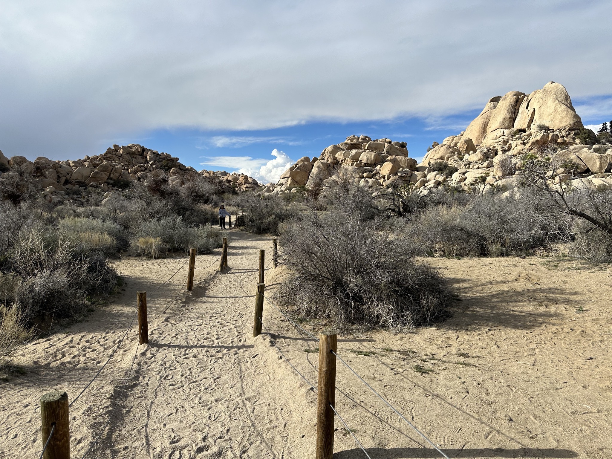 Barker Dam hike