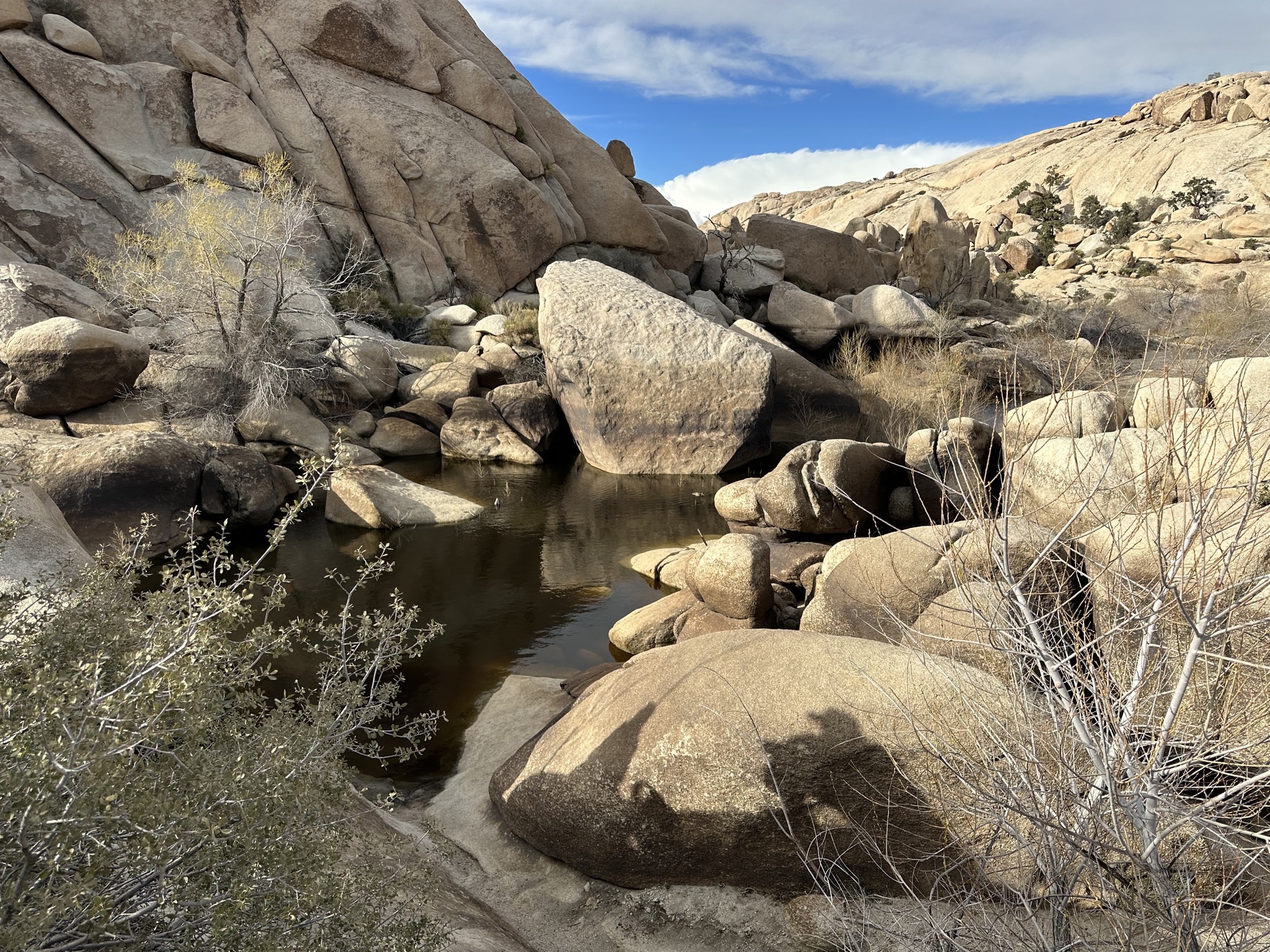 Barker Dam hike
