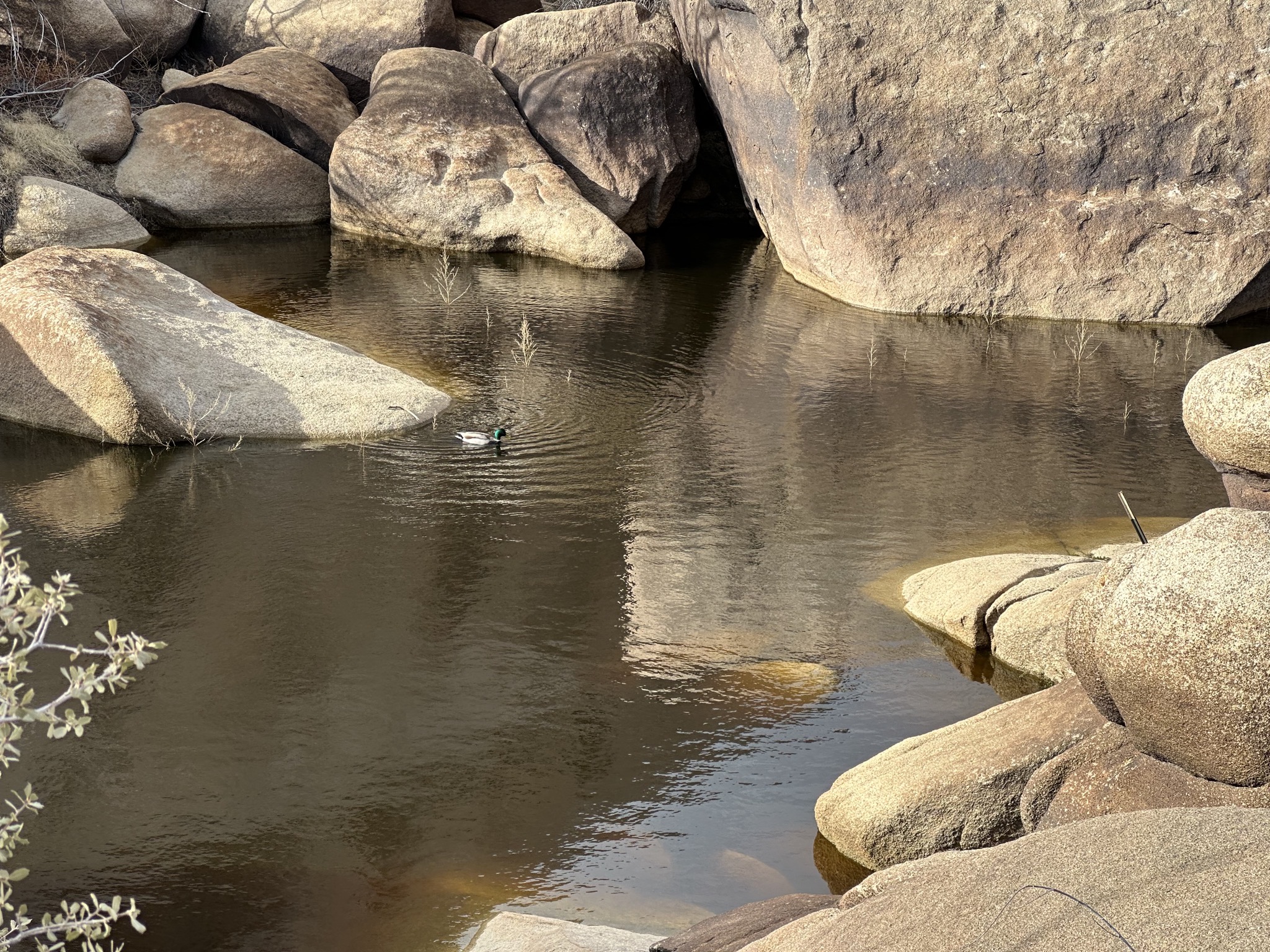 Barker Dam hike