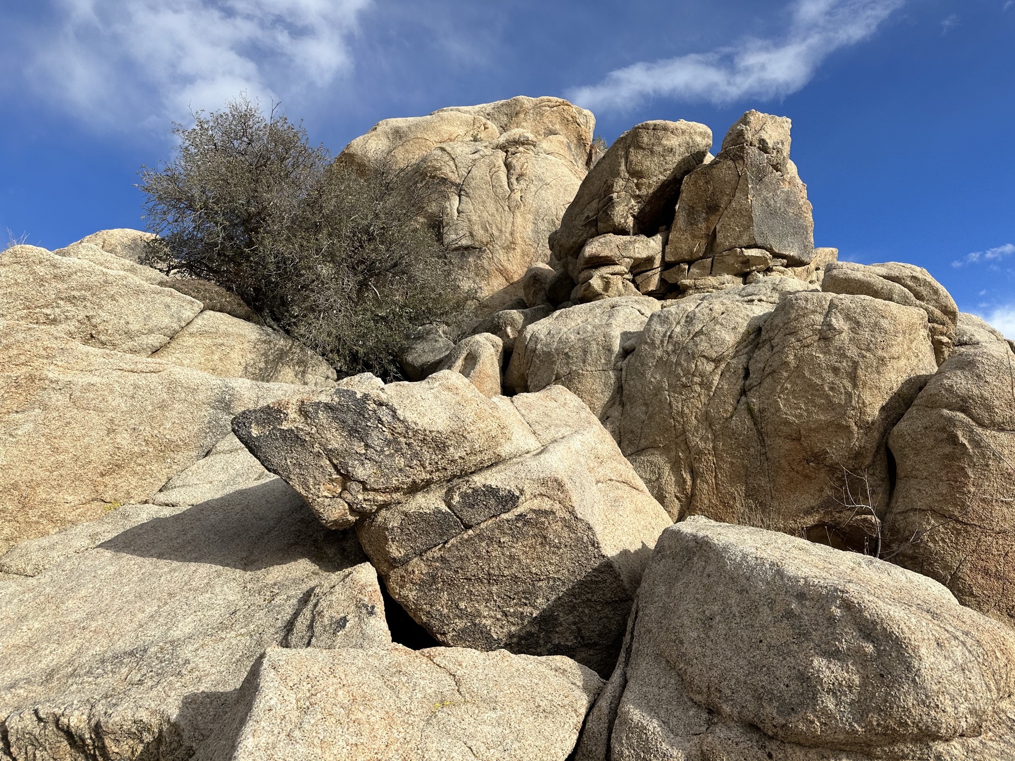 Barker Dam hike