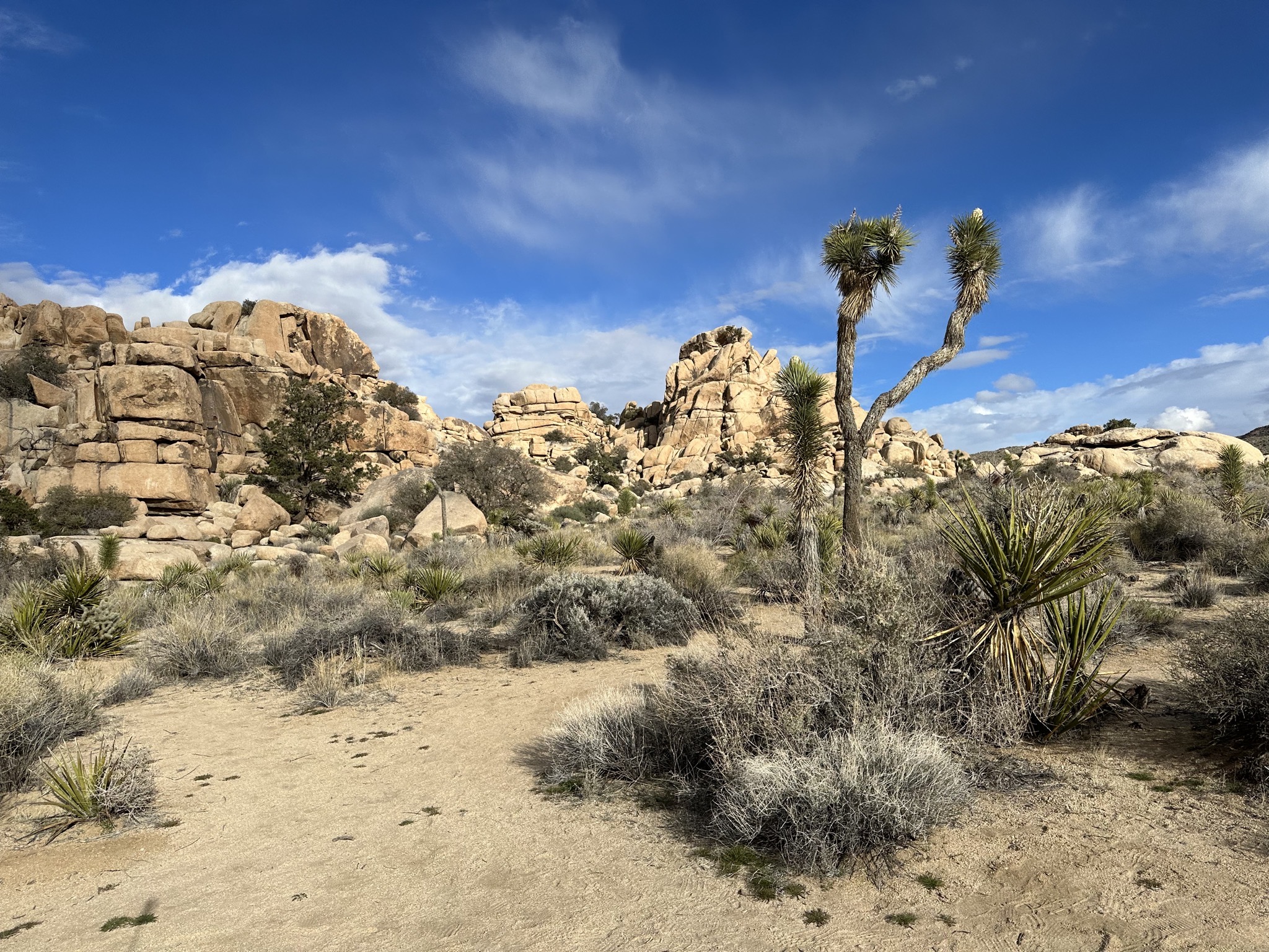 Barker Dam hike