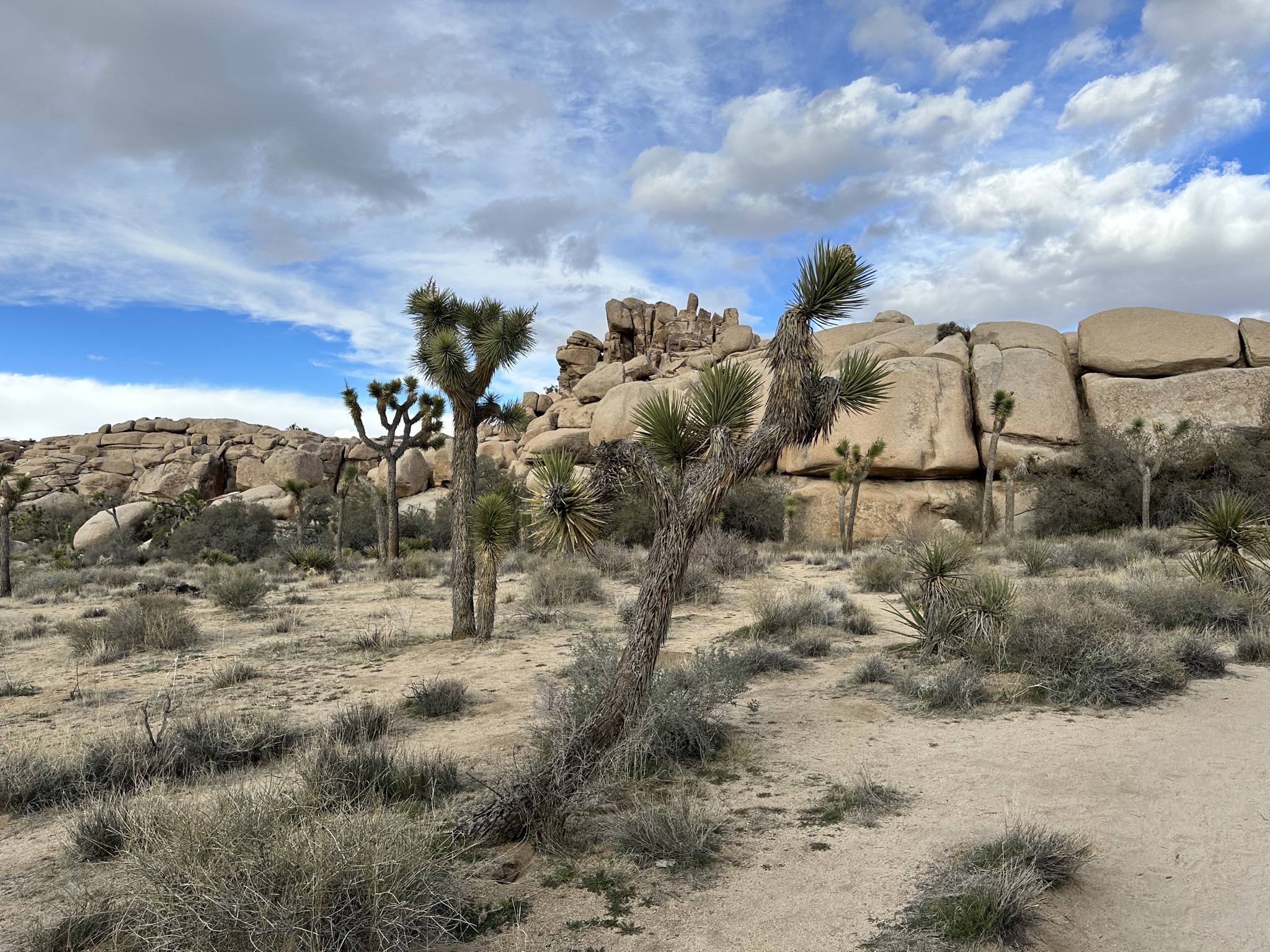 Barker Dam hike