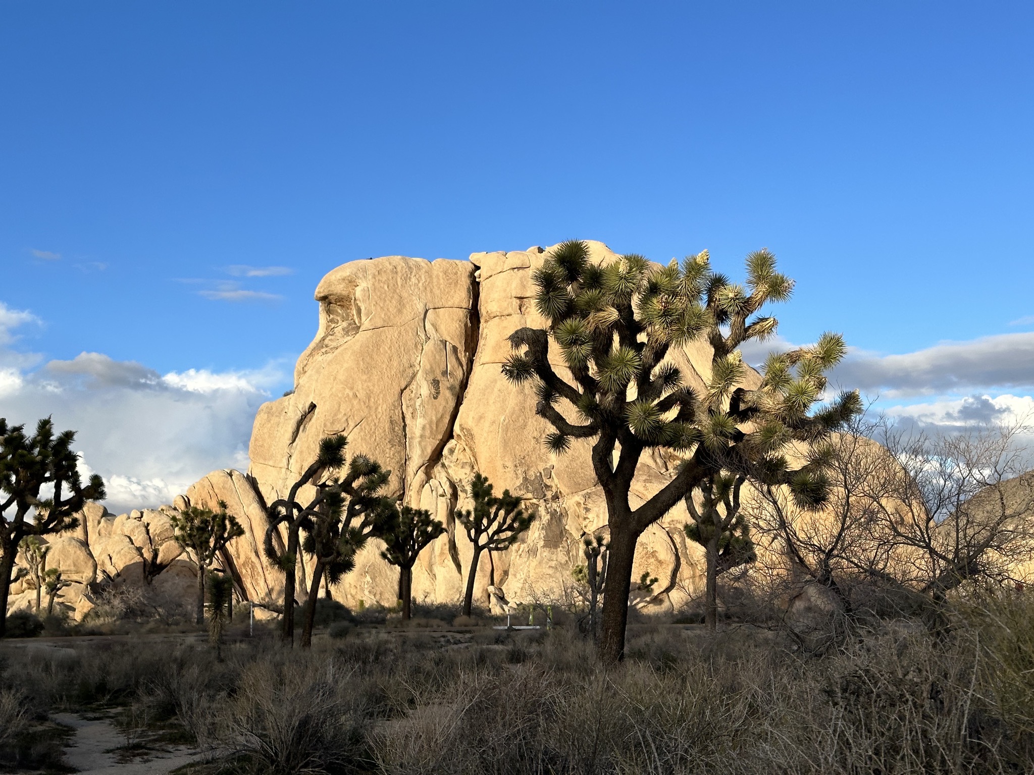 Hidden Valley picnic