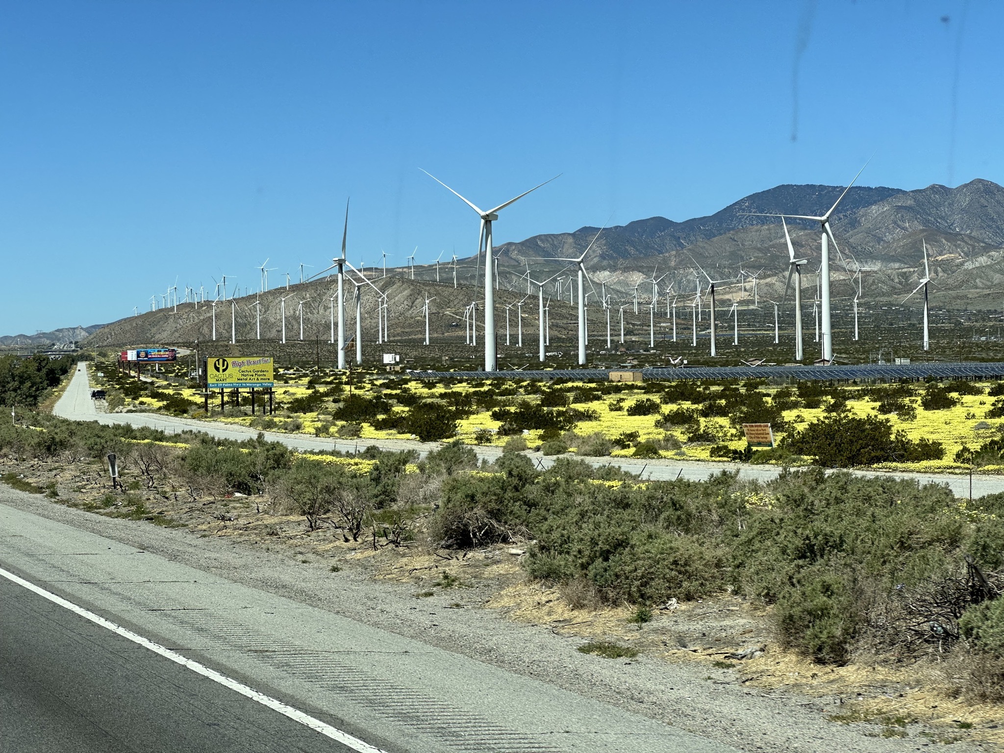Wind turbines and yellow flowers
