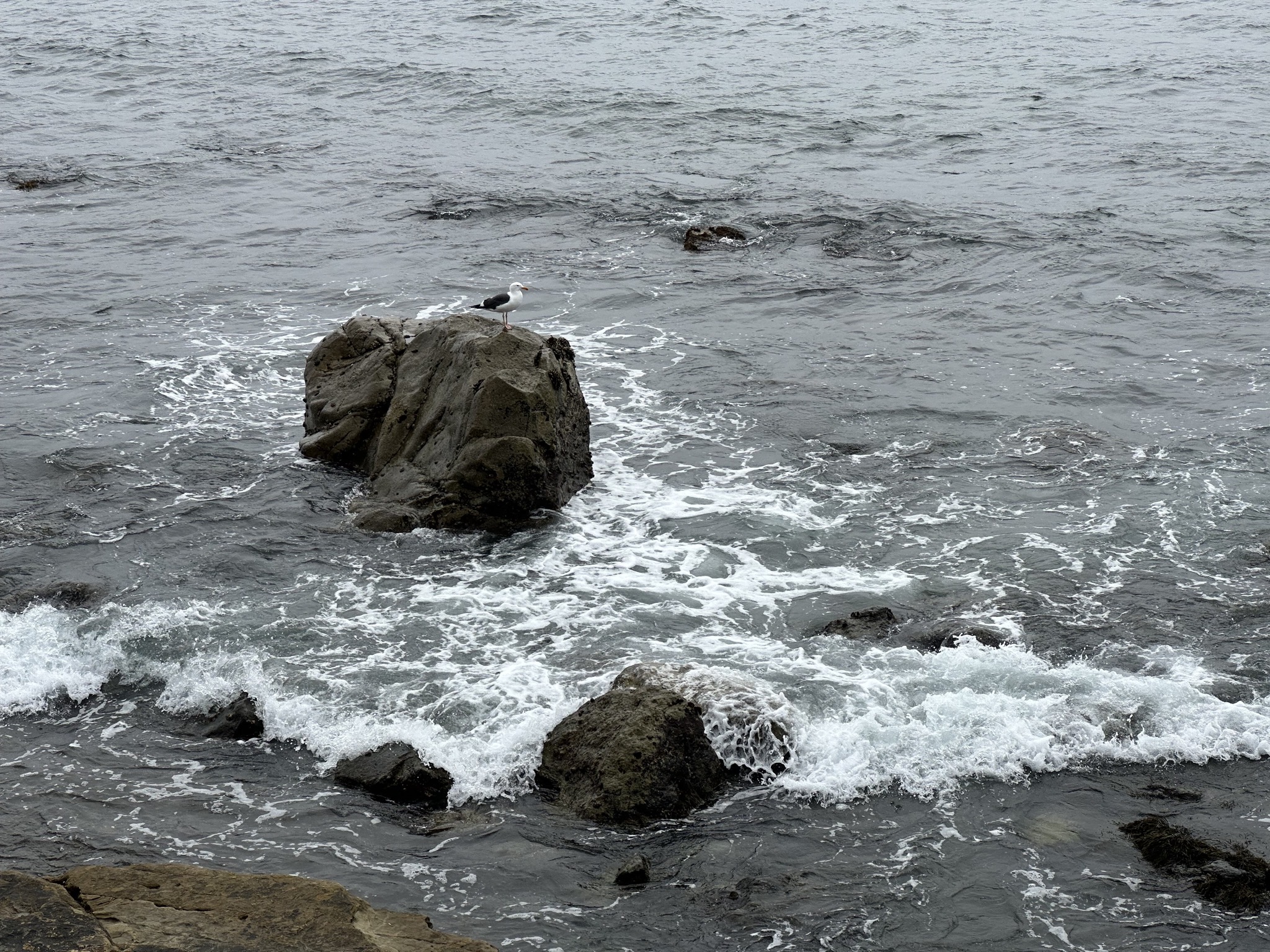 Coast