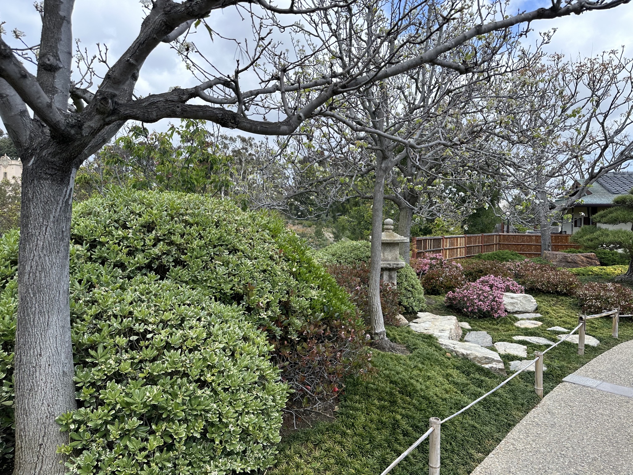 Japanese Friendship Garden