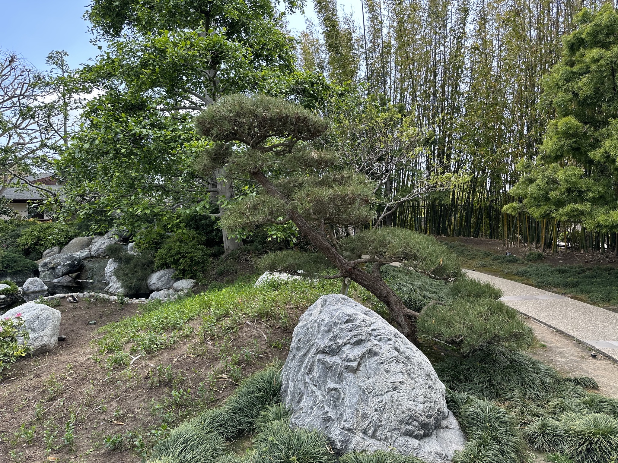 Japanese Friendship Garden