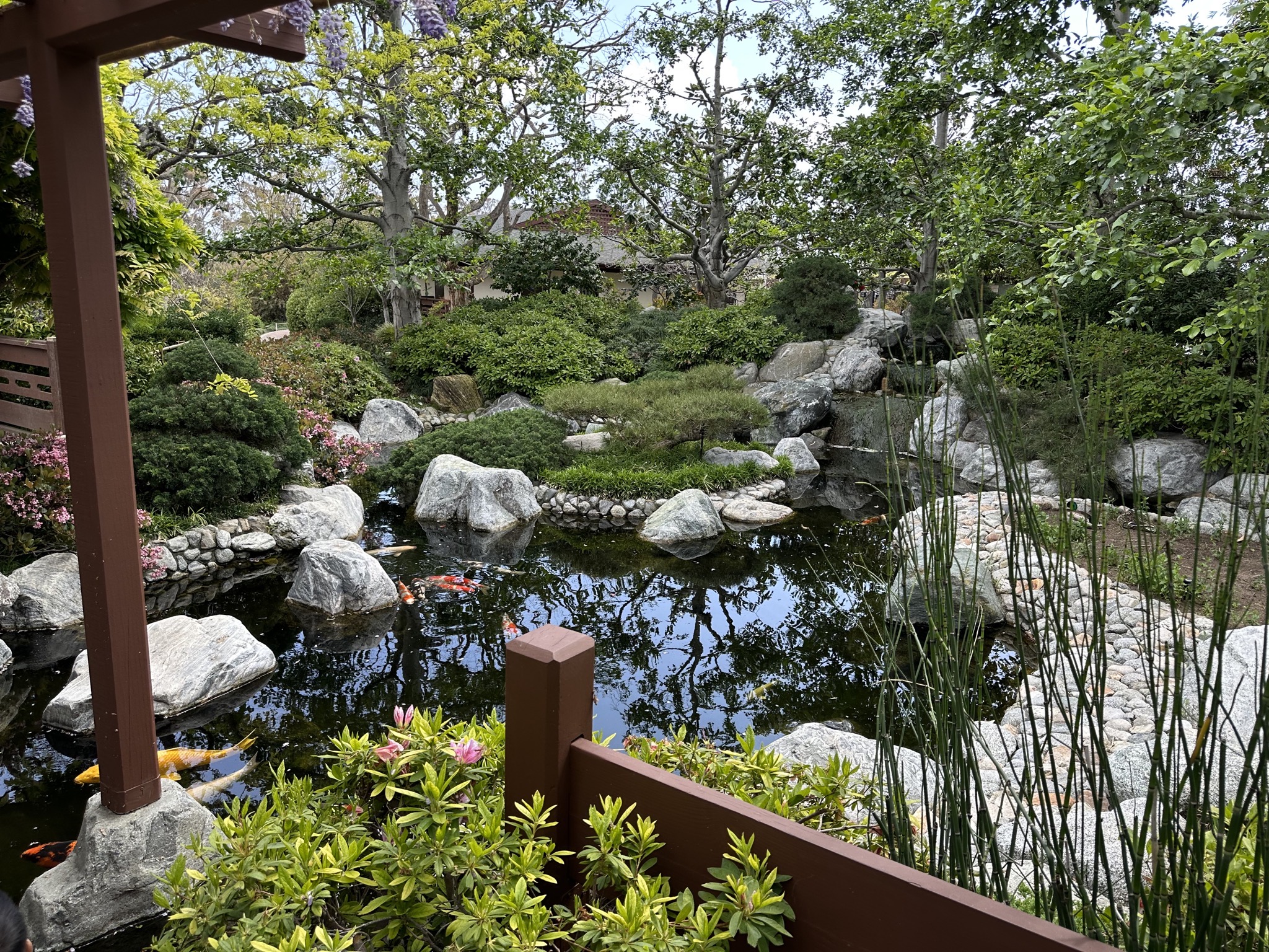 Japanese Friendship Garden