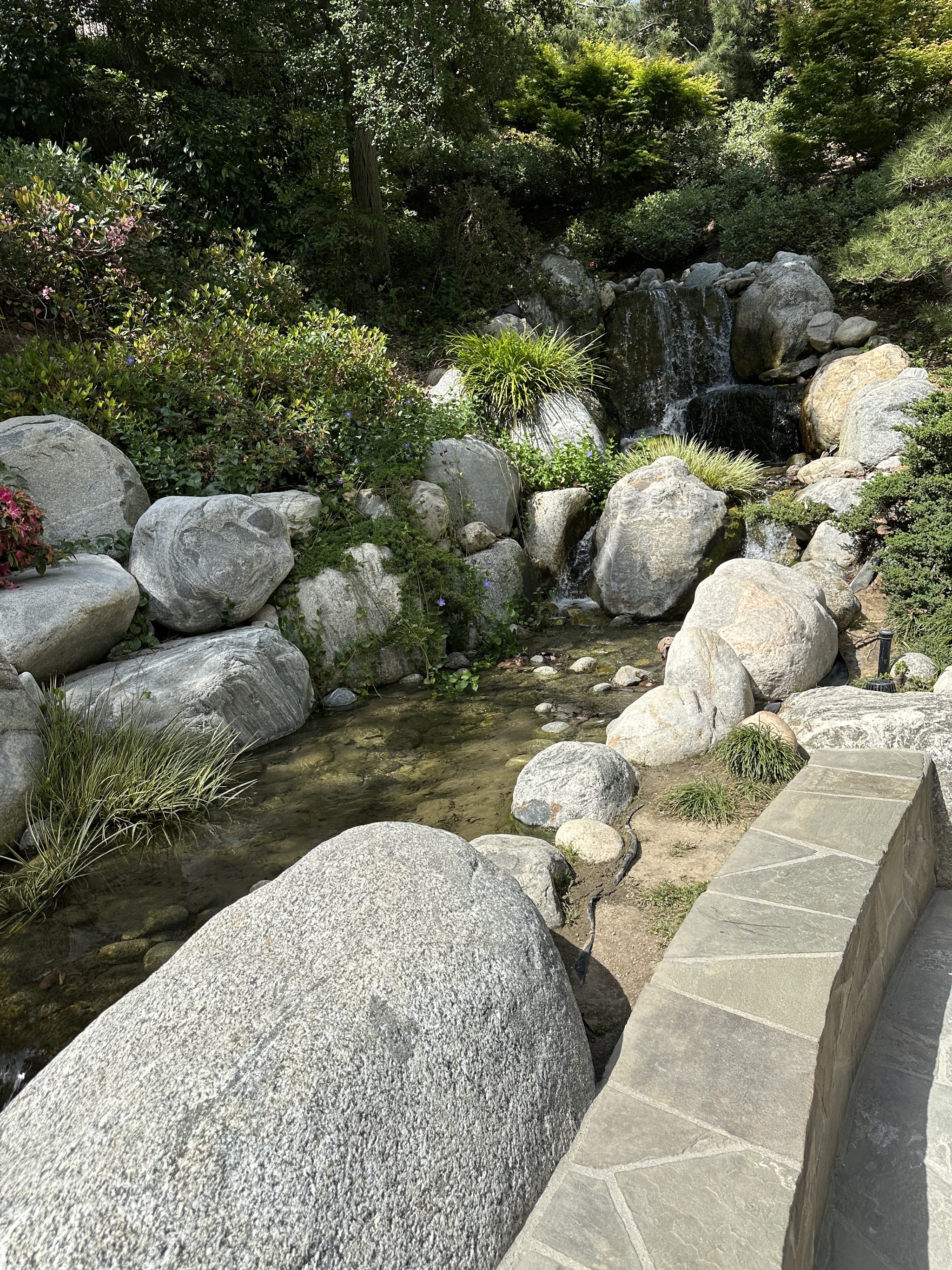 Japanese Friendship Garden