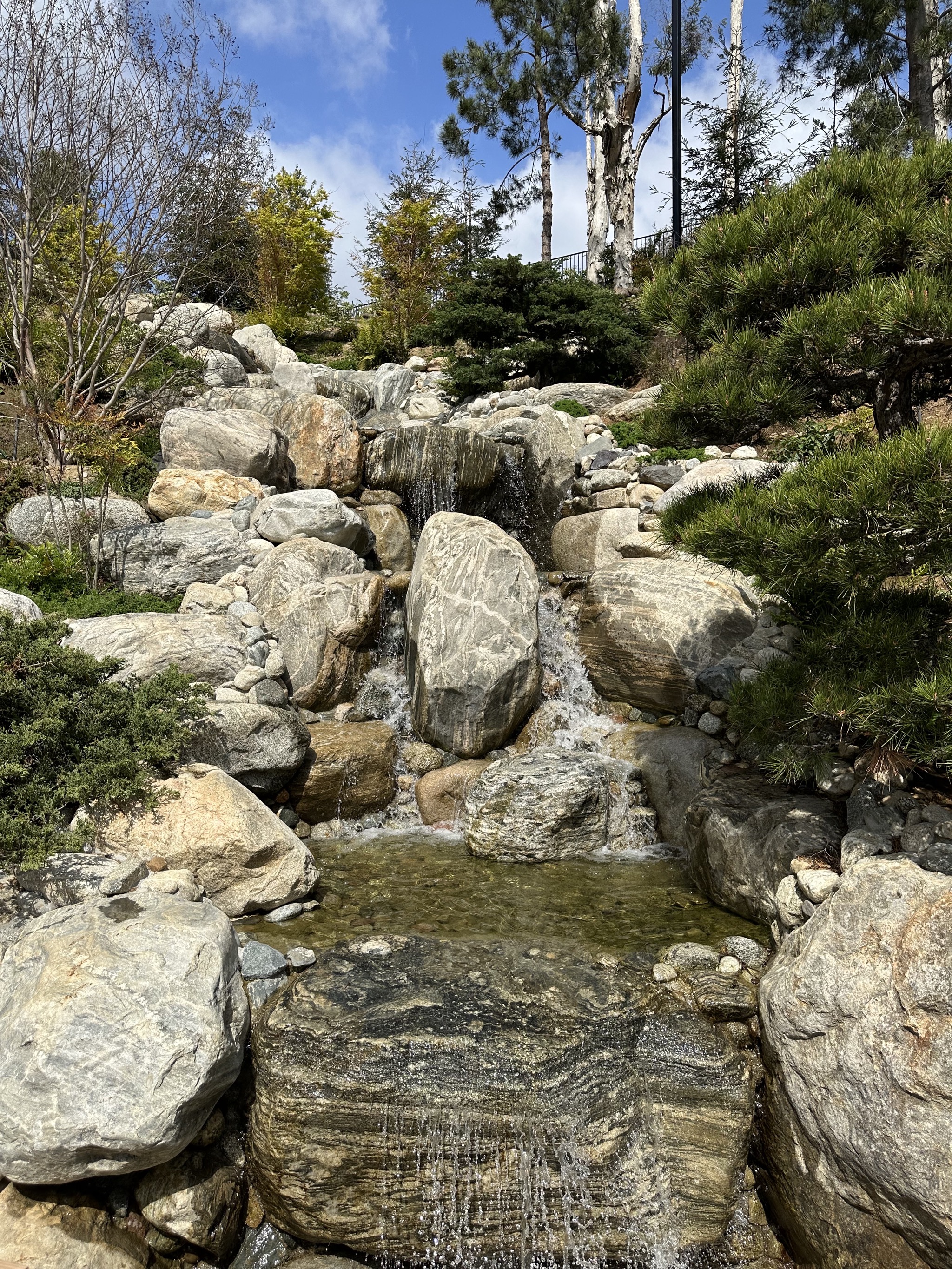 Japanese Friendship Garden