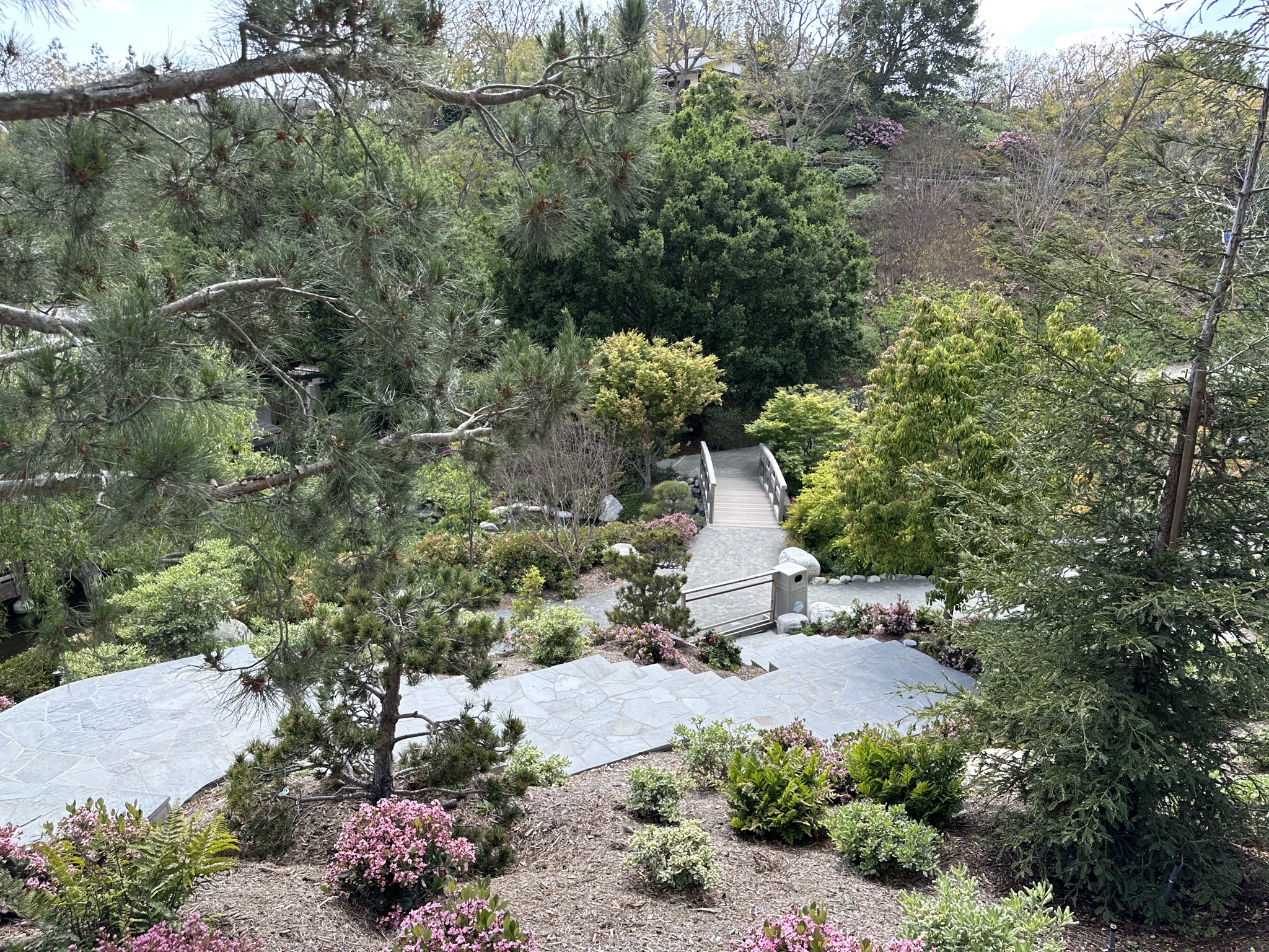 Japanese Friendship Garden