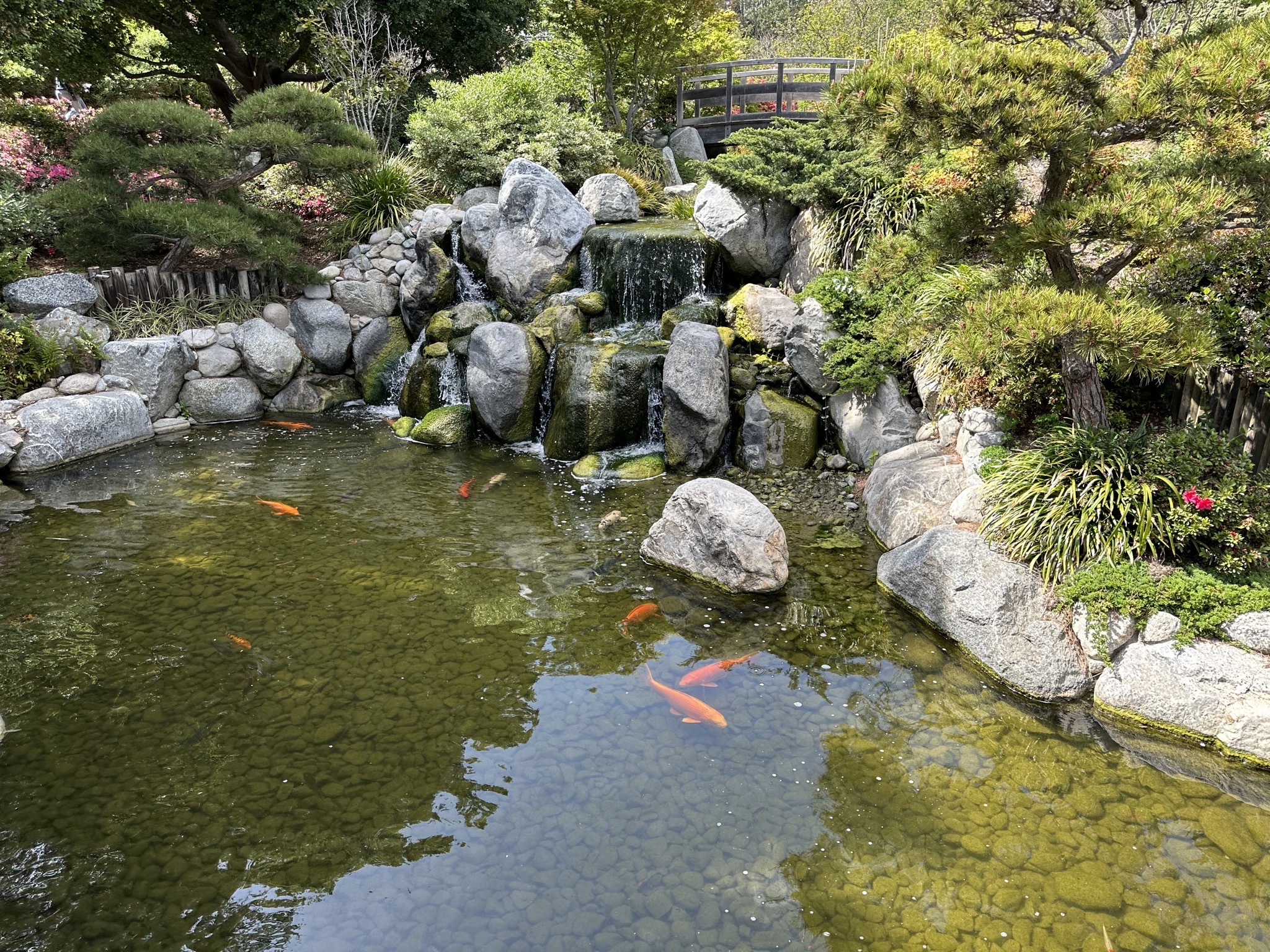 Japanese Friendship Garden