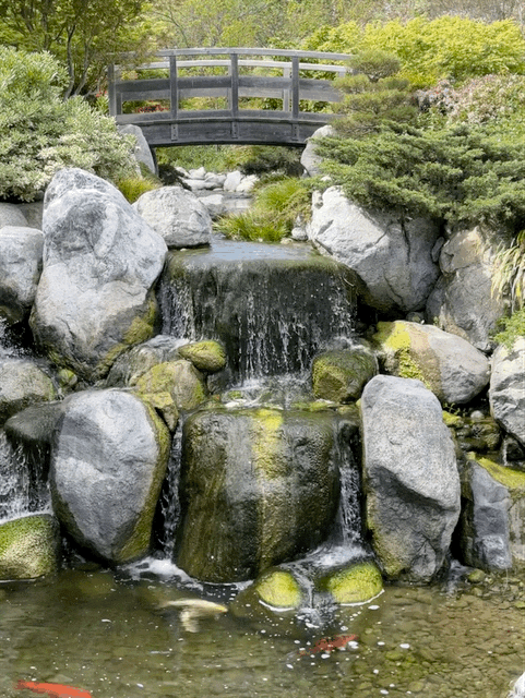 Japanese Friendship Garden