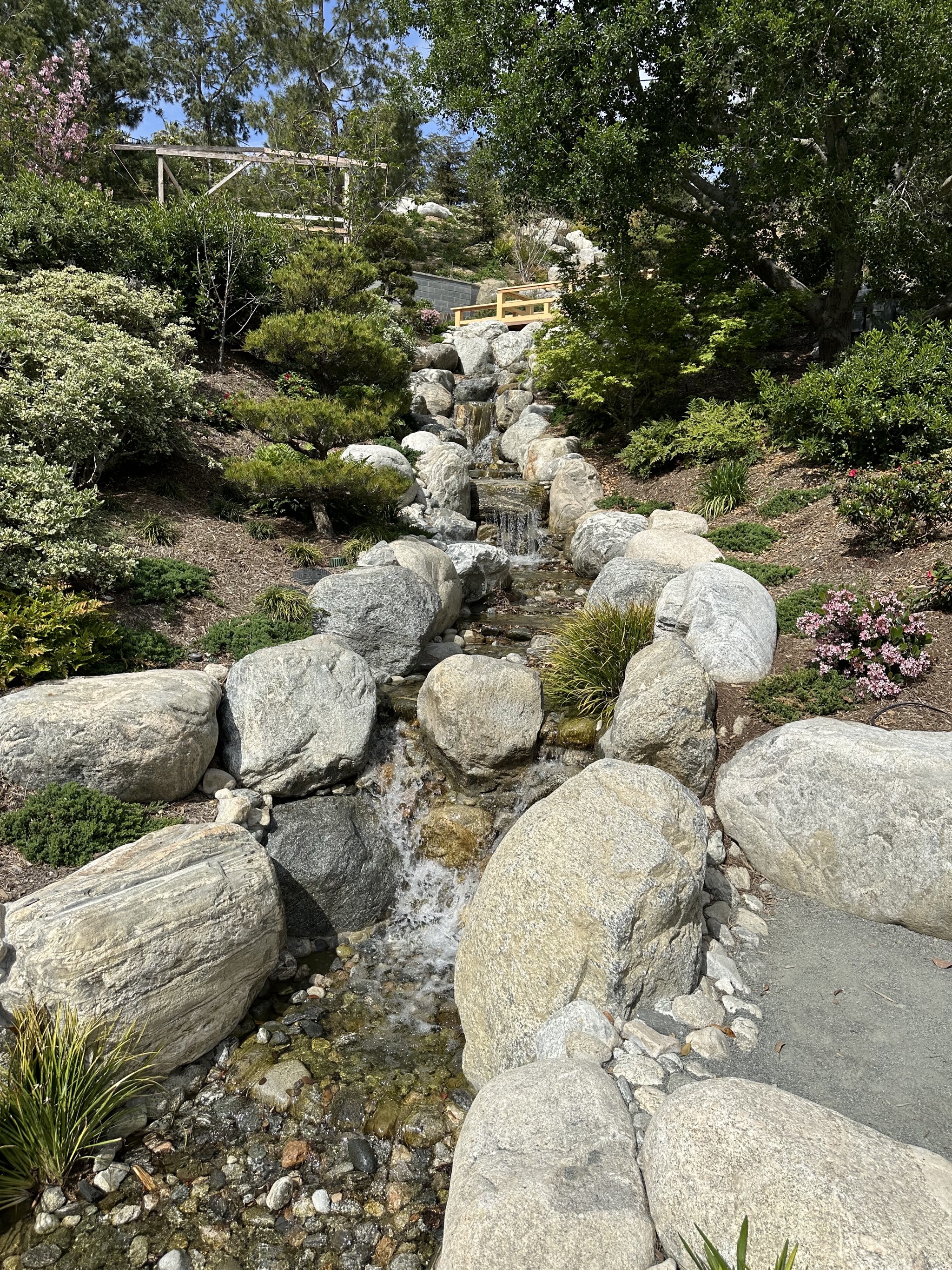 Japanese Friendship Garden