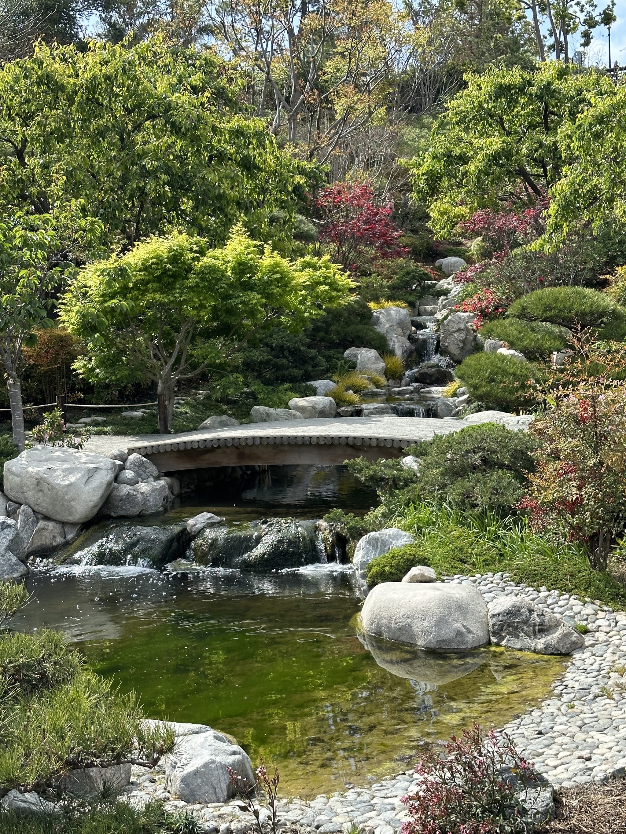 Japanese Friendship Garden