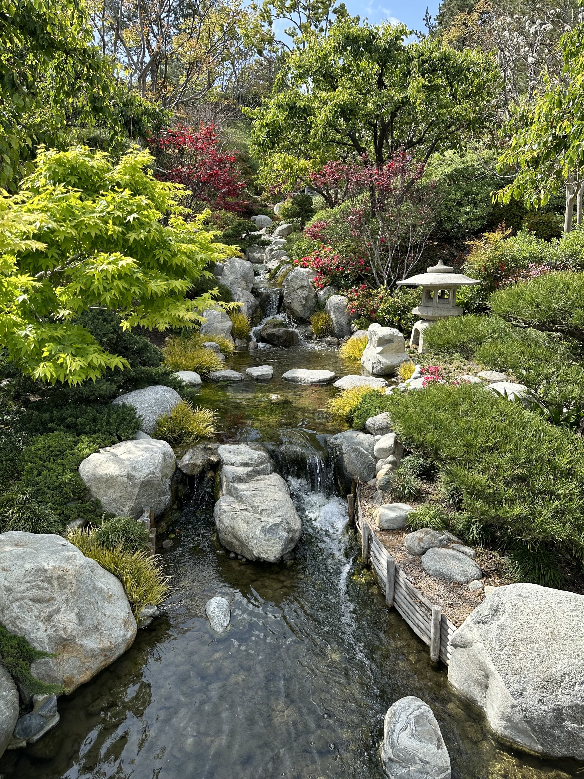 Japanese Friendship Garden