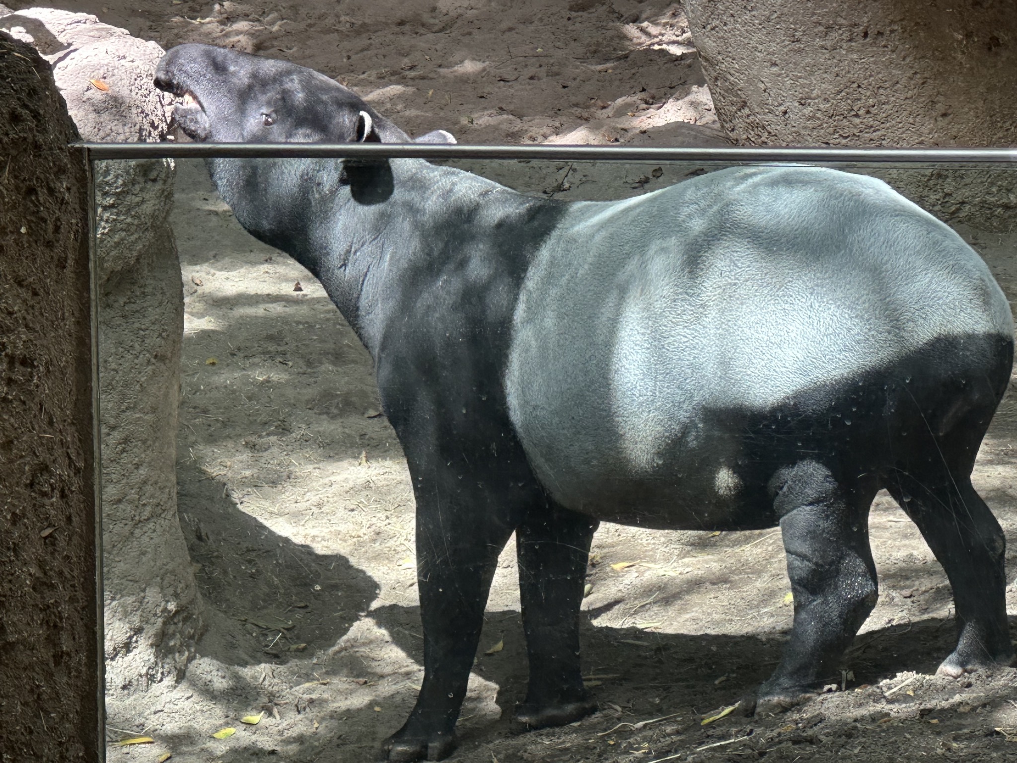 San Diego Zoo