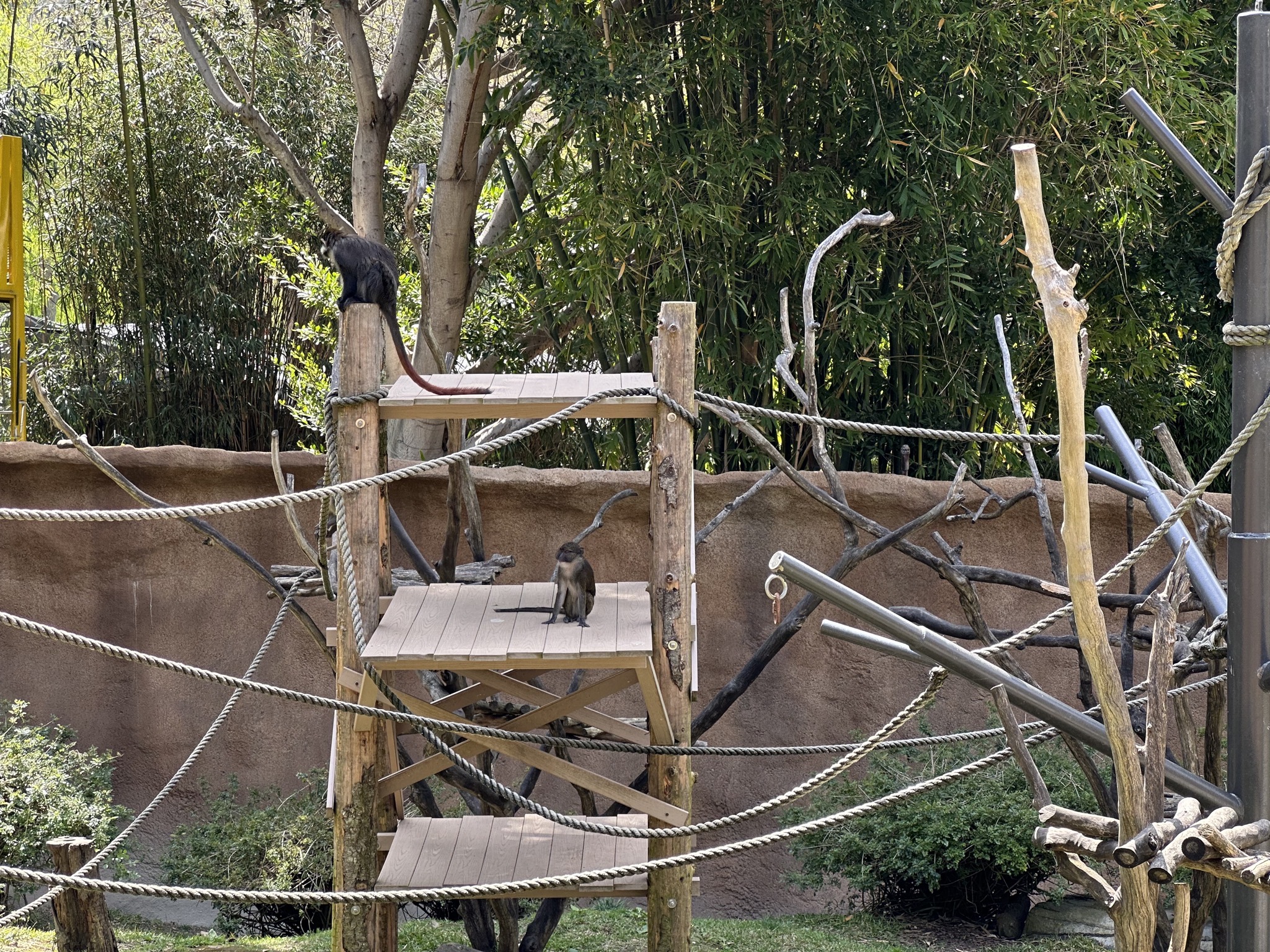 San Diego Zoo