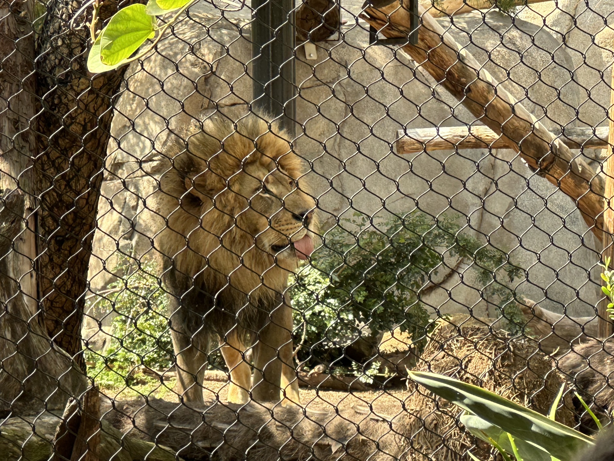 San Diego Zoo