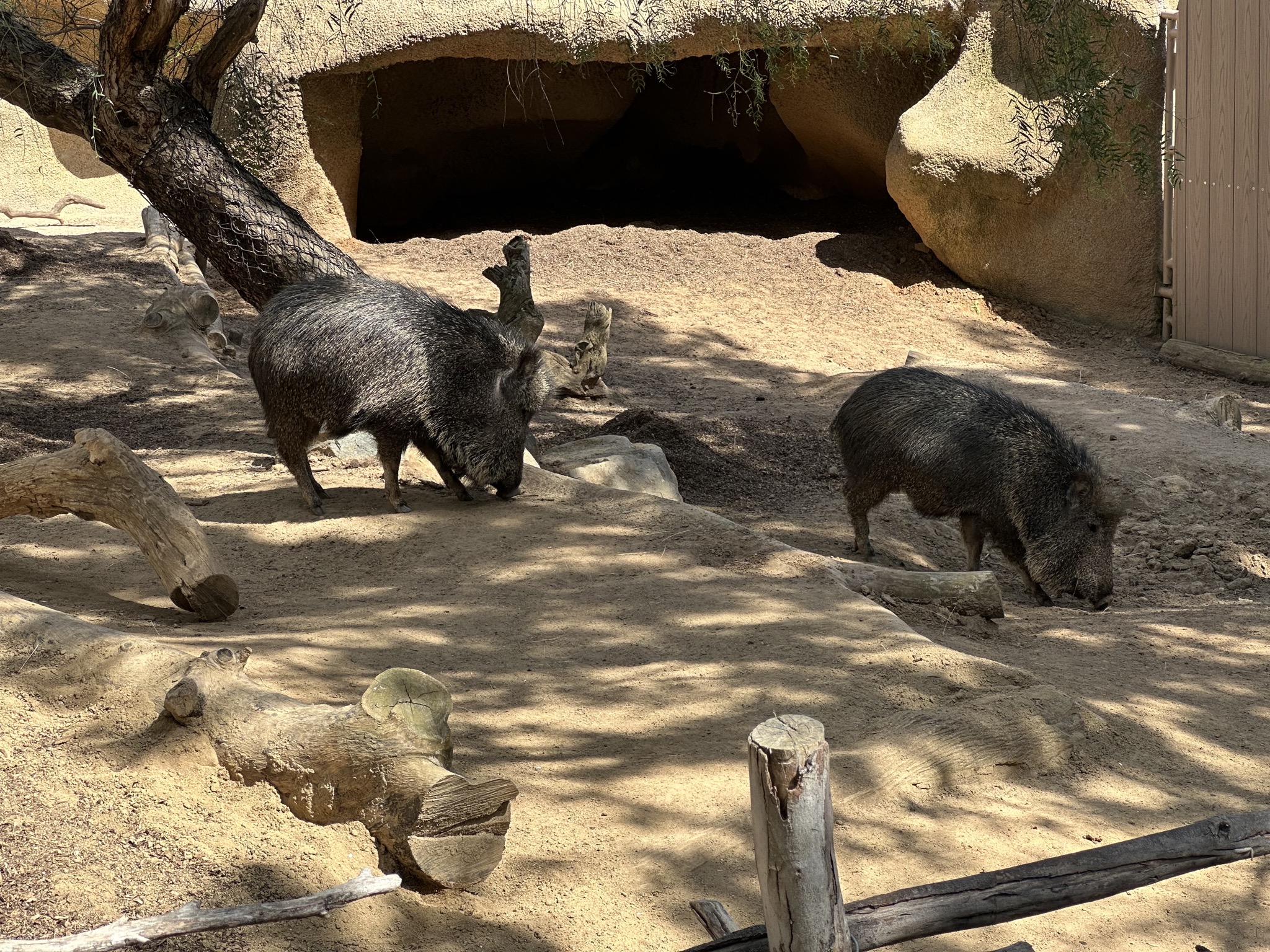 San Diego Zoo