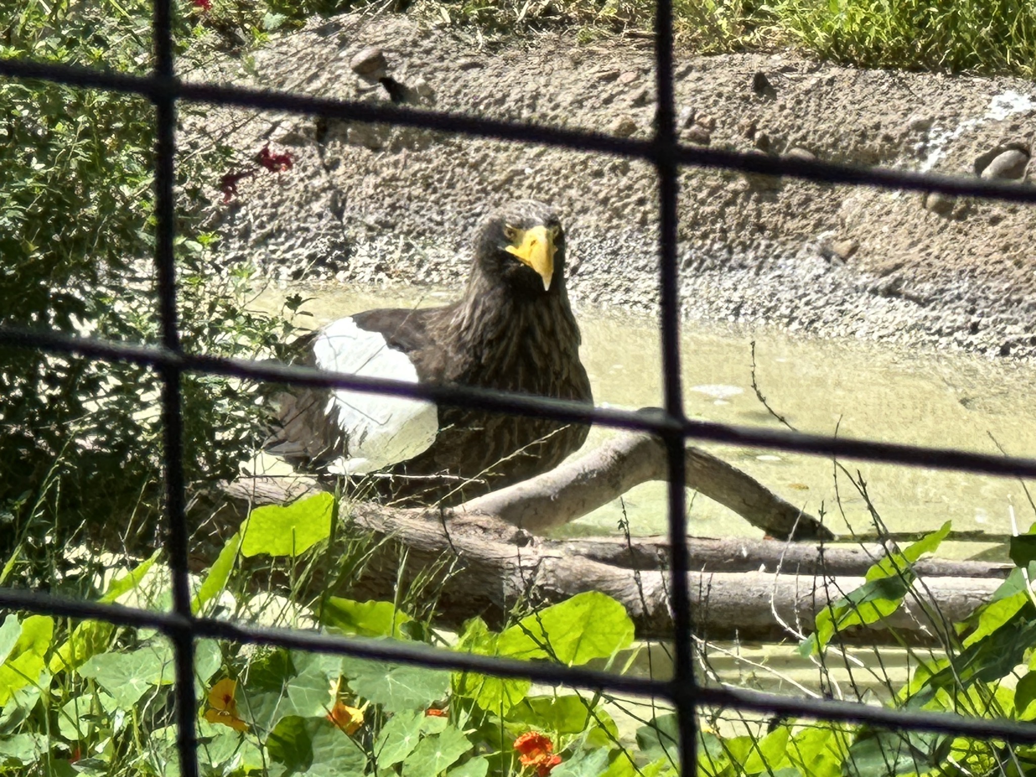 San Diego Zoo