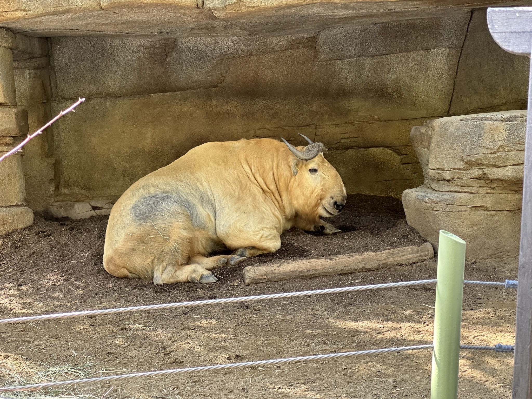 San Diego Zoo