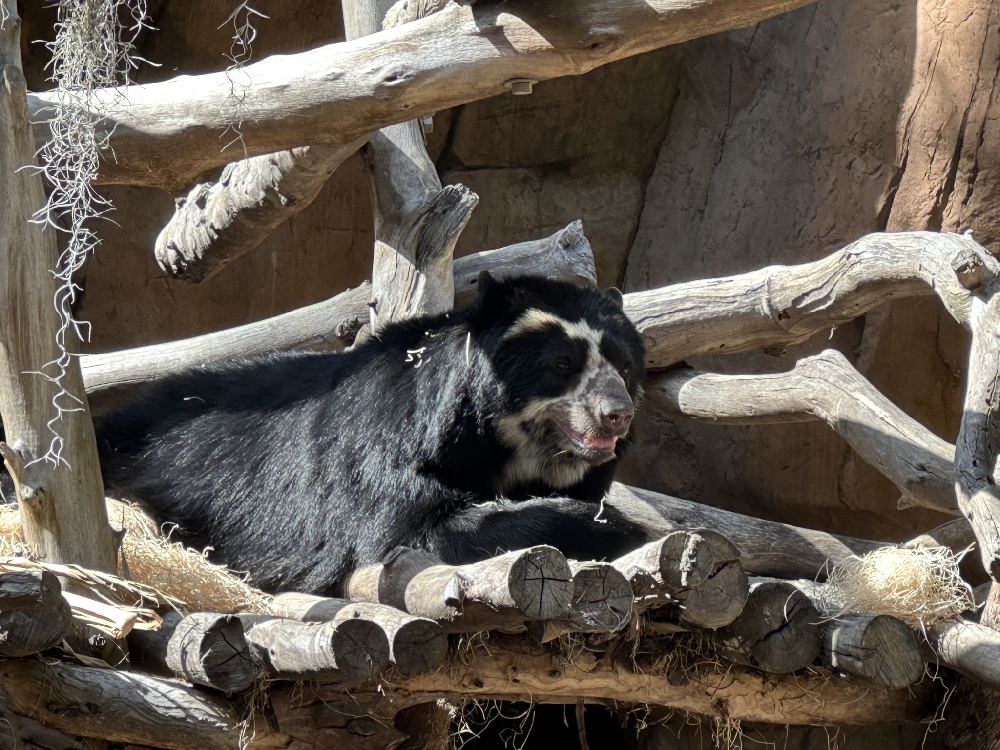 San Diego Zoo