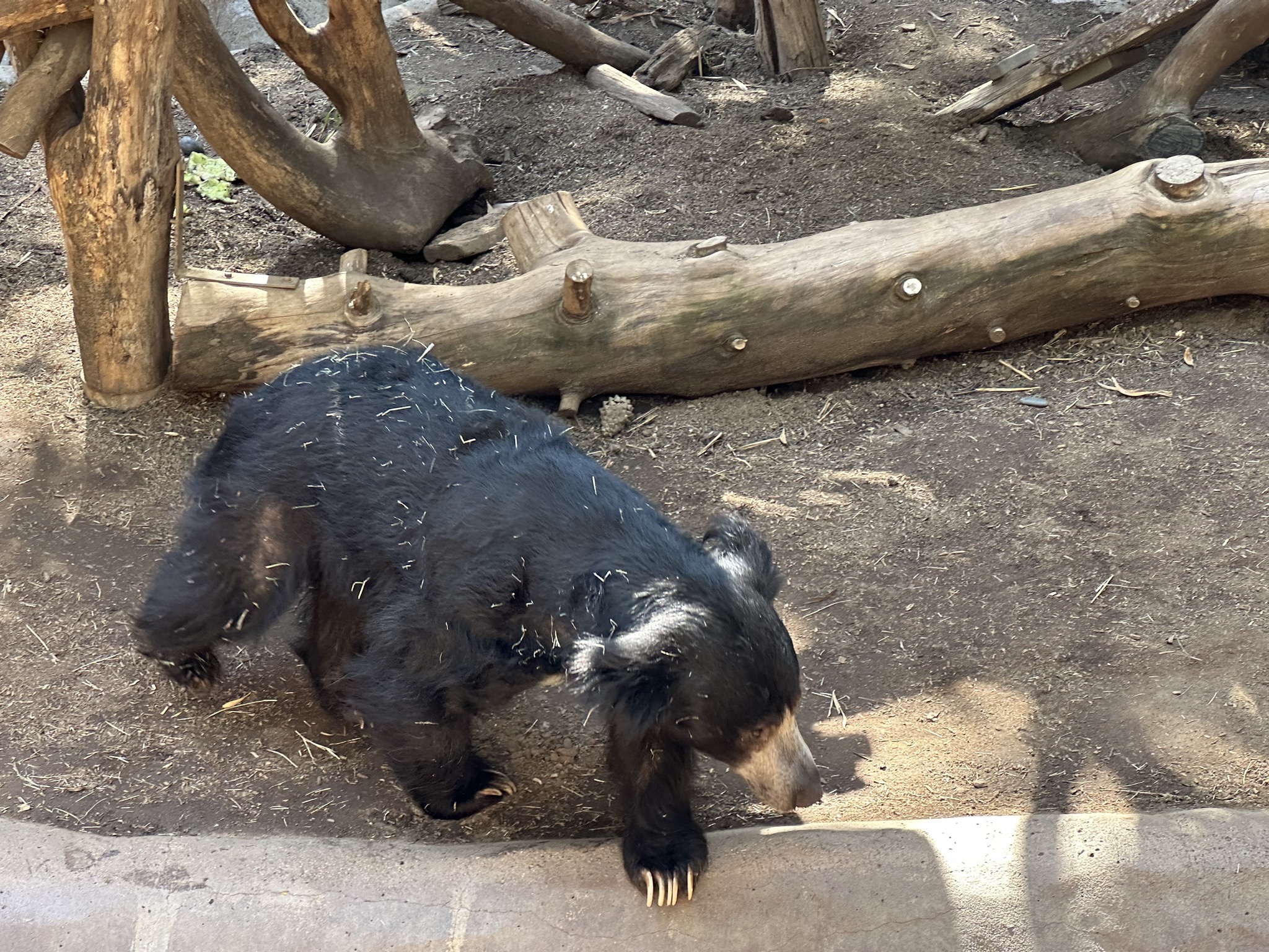 San Diego Zoo