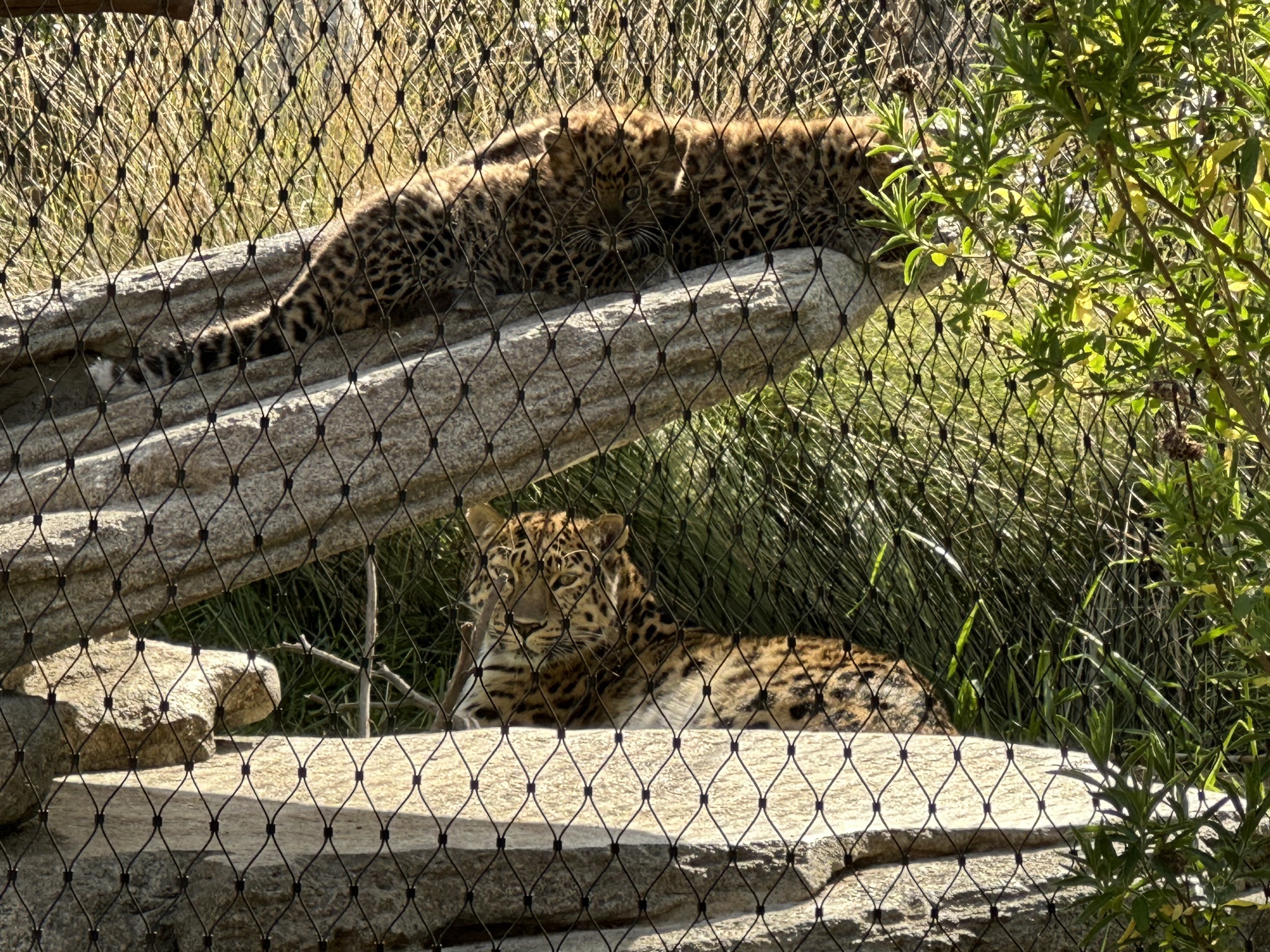San Diego Zoo