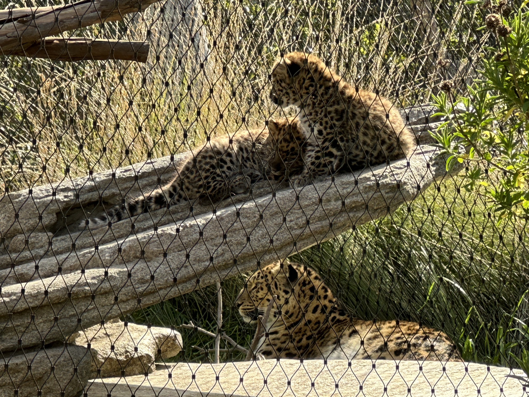 San Diego Zoo