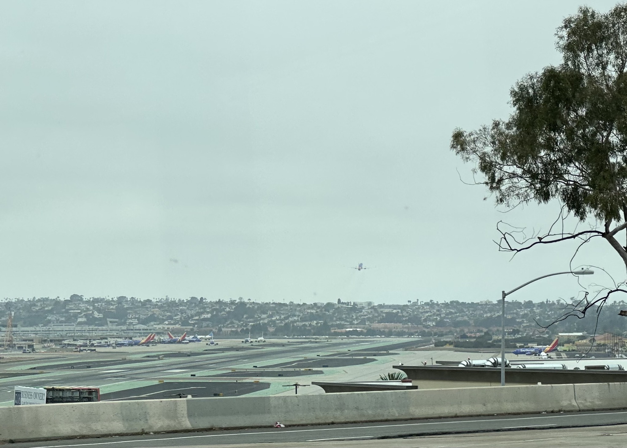 Plane taking off
