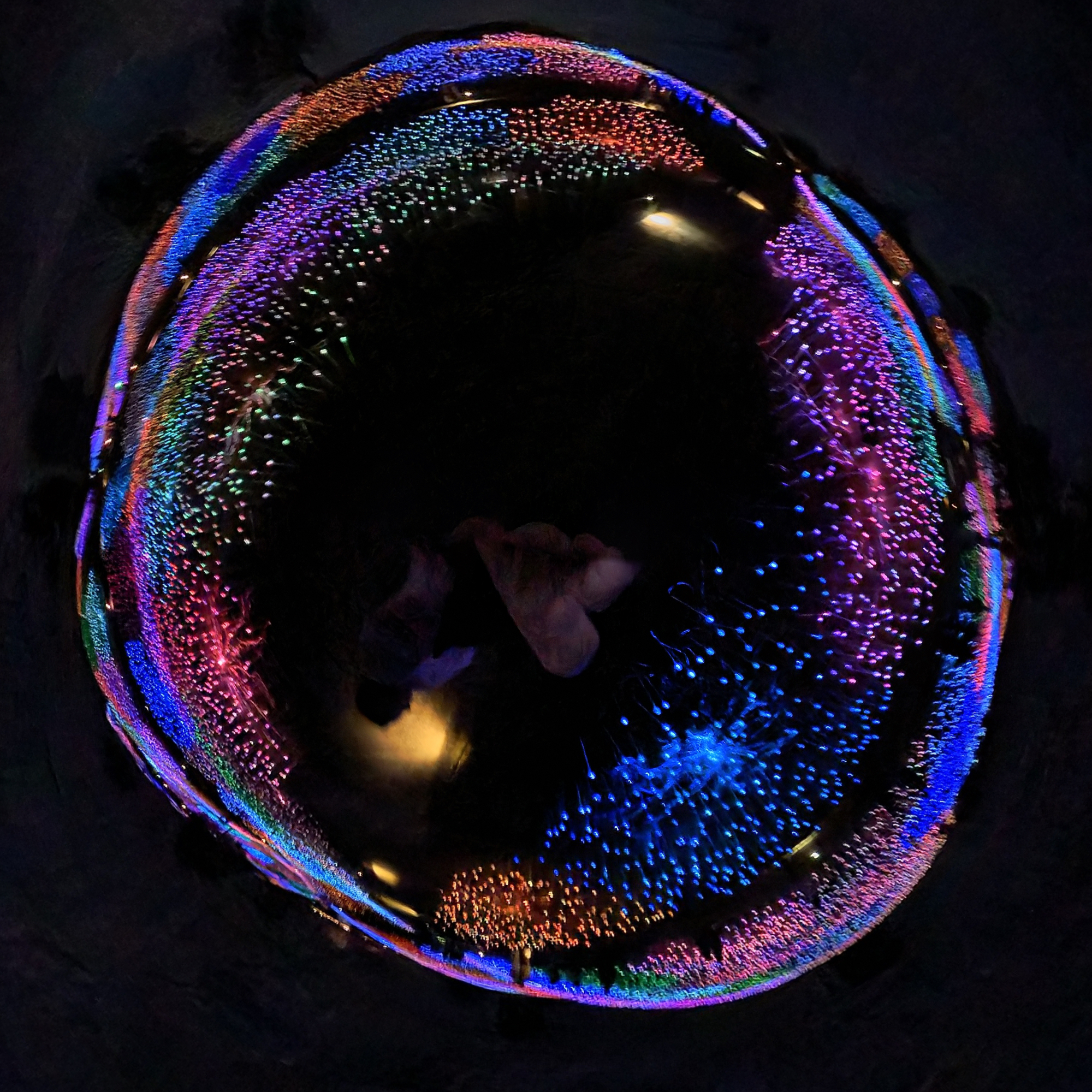 360 camera effect
