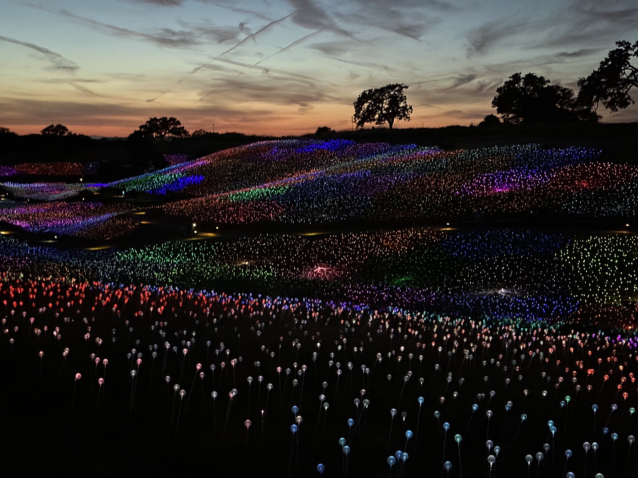 Field of Lights