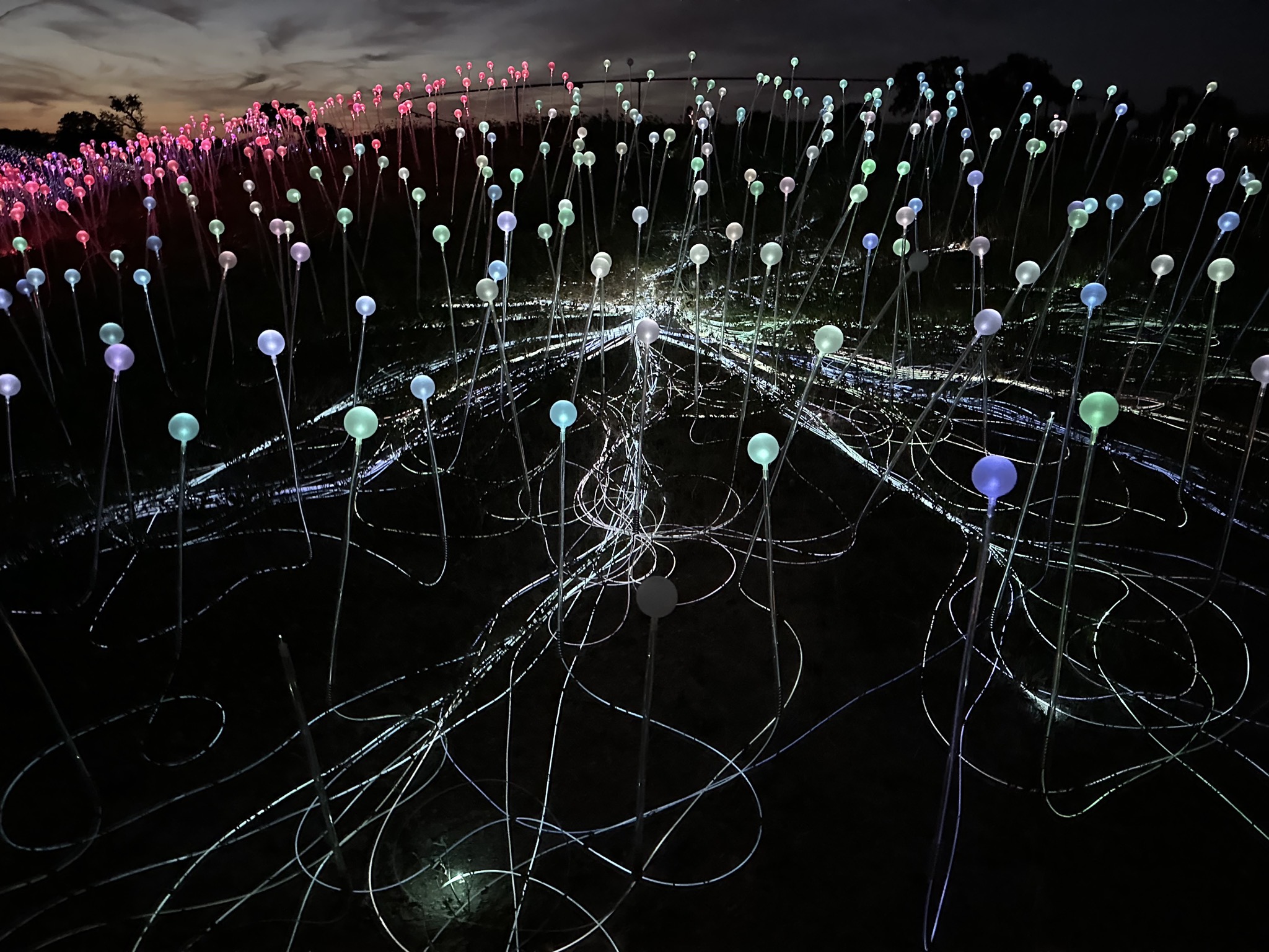 Field of Lights