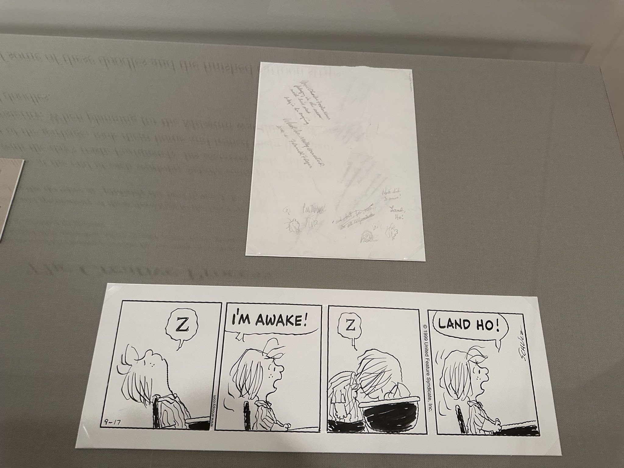Charles M. Schulz Museum