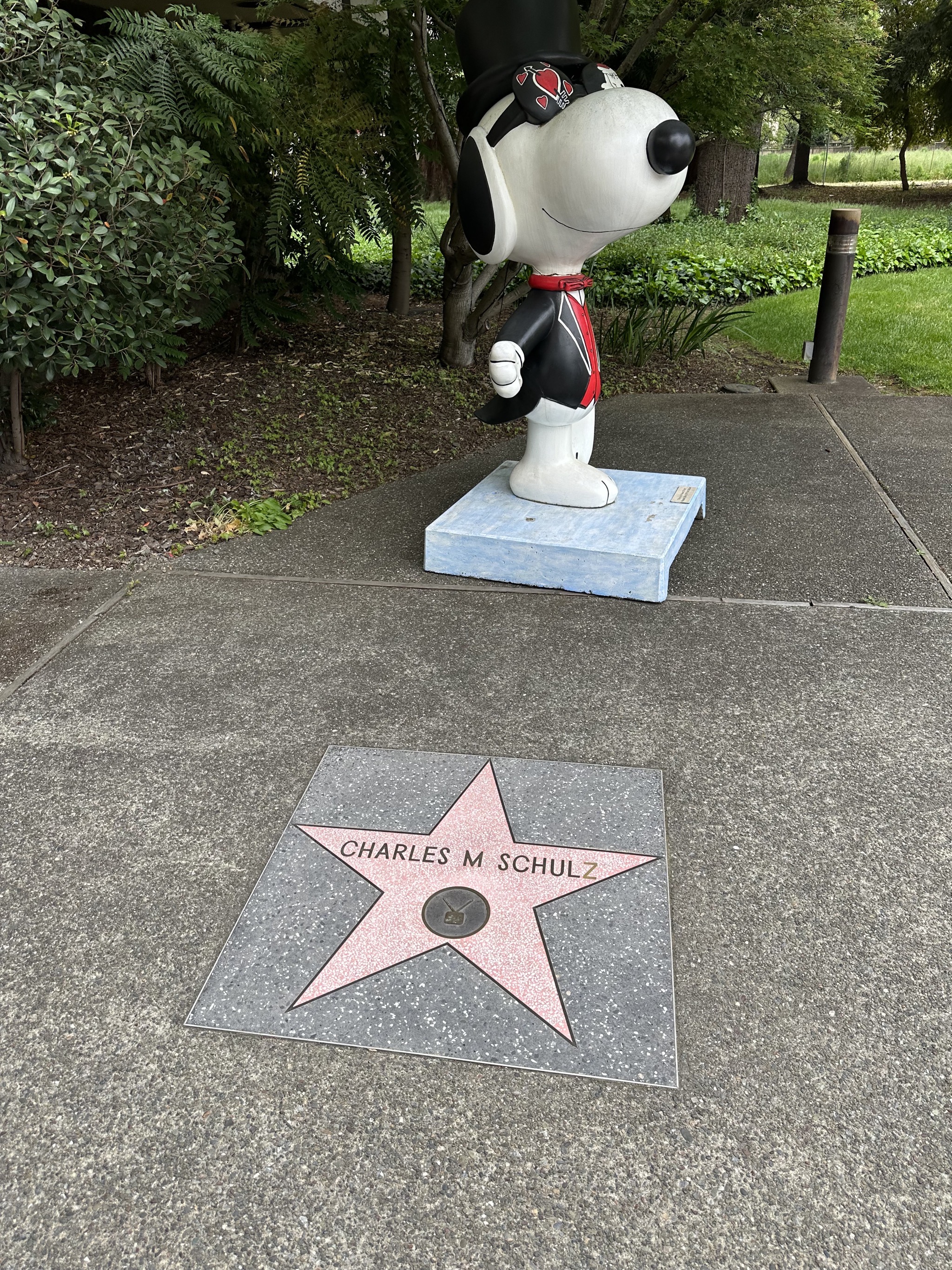 Snoopy’s Home Ice