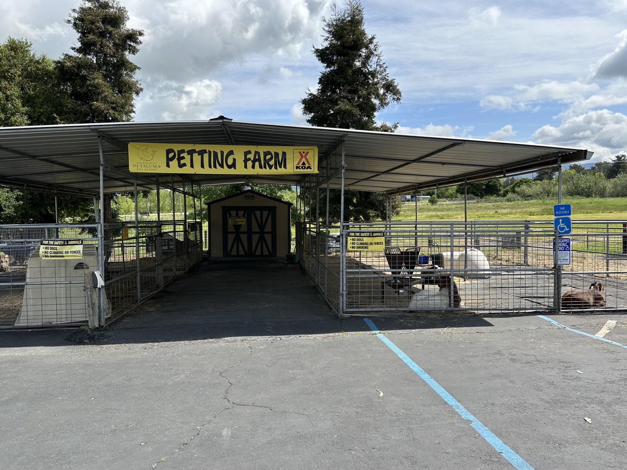 Petting farm