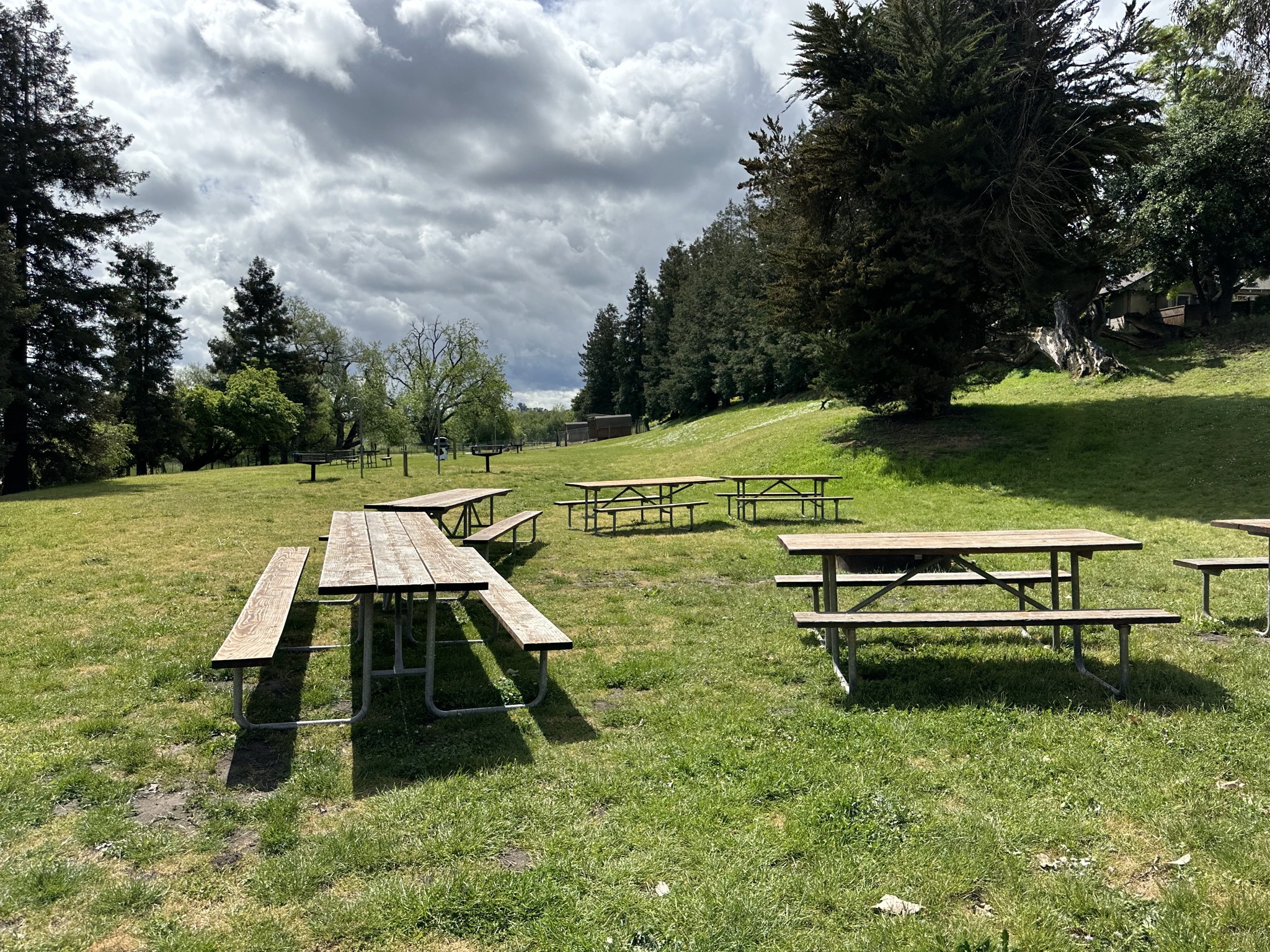 Picnic area