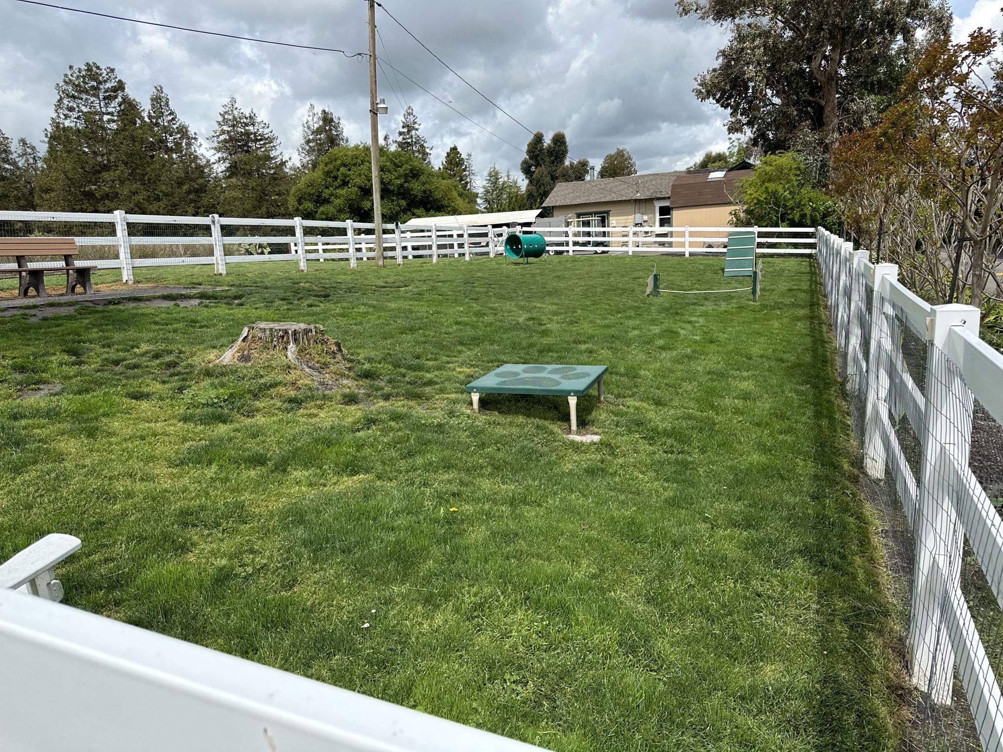 Dogrun