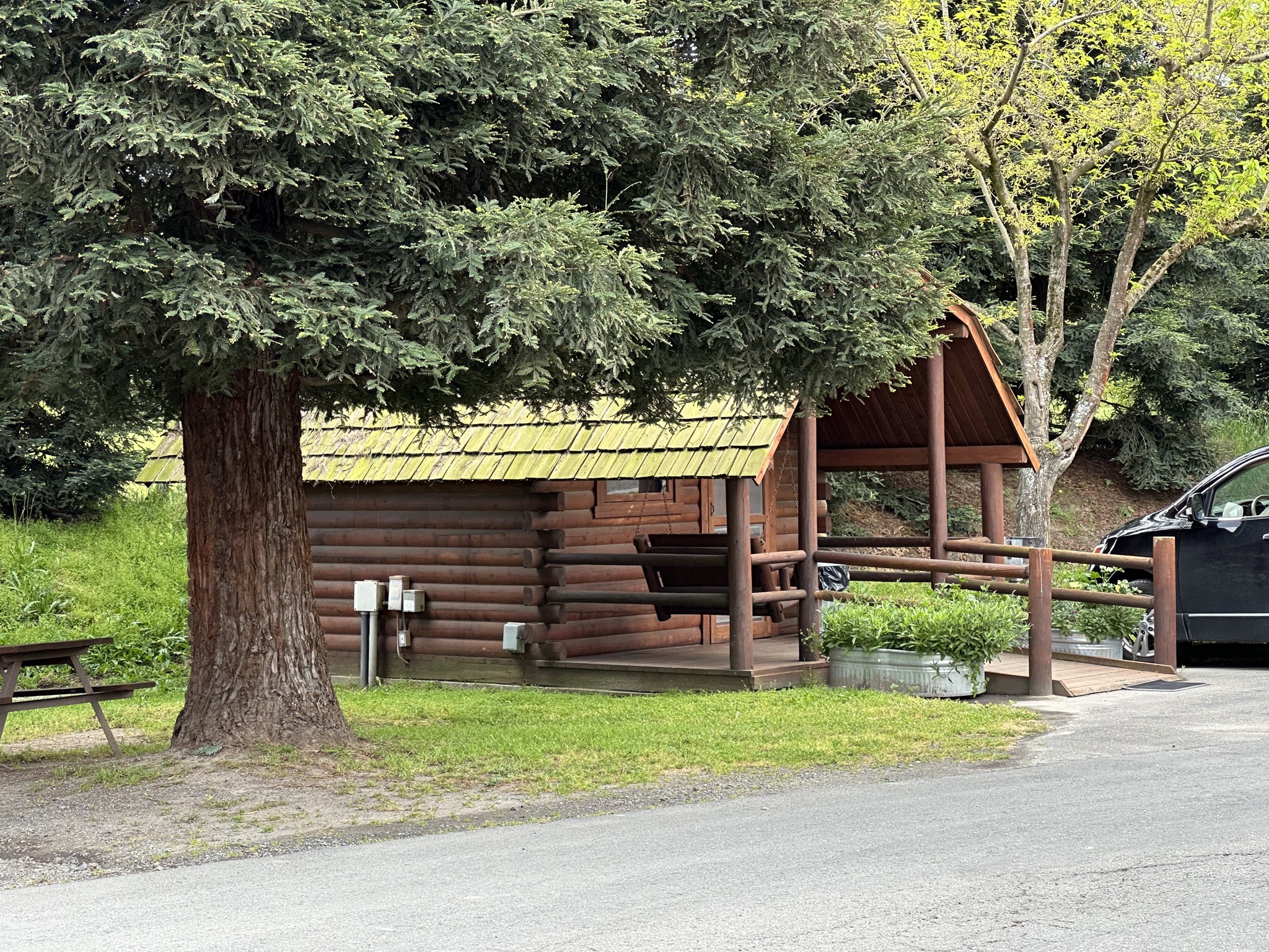 Cabins