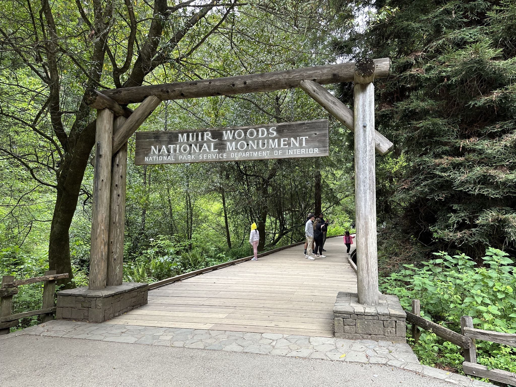Muir Woods