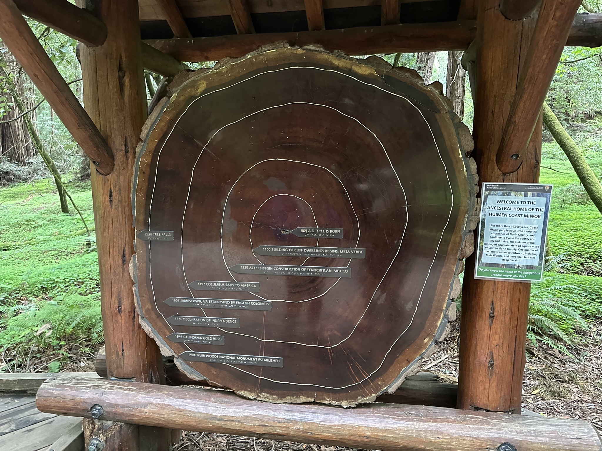 Log